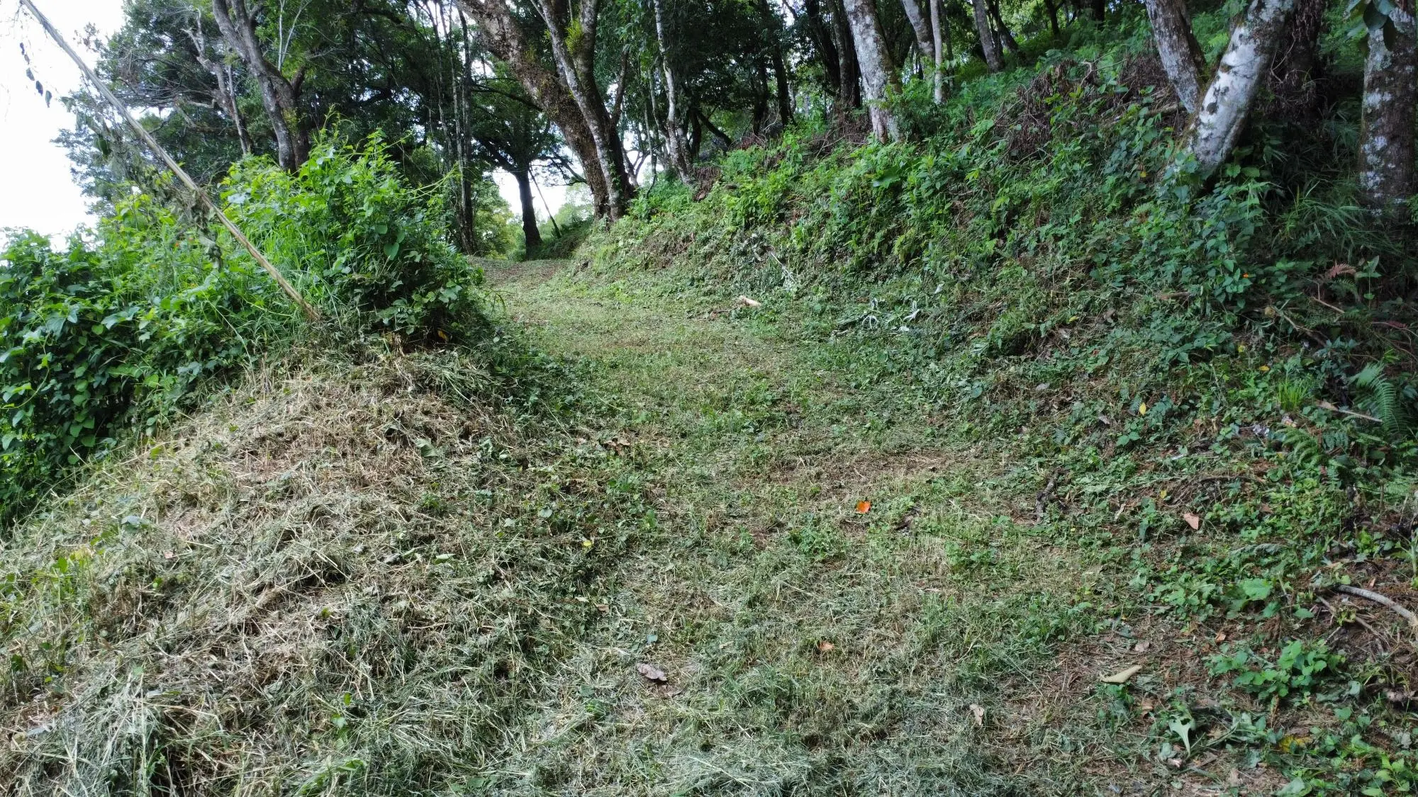 0 Chiriquí, Boquete, Volcancito, 4 Lotes - Photo 14