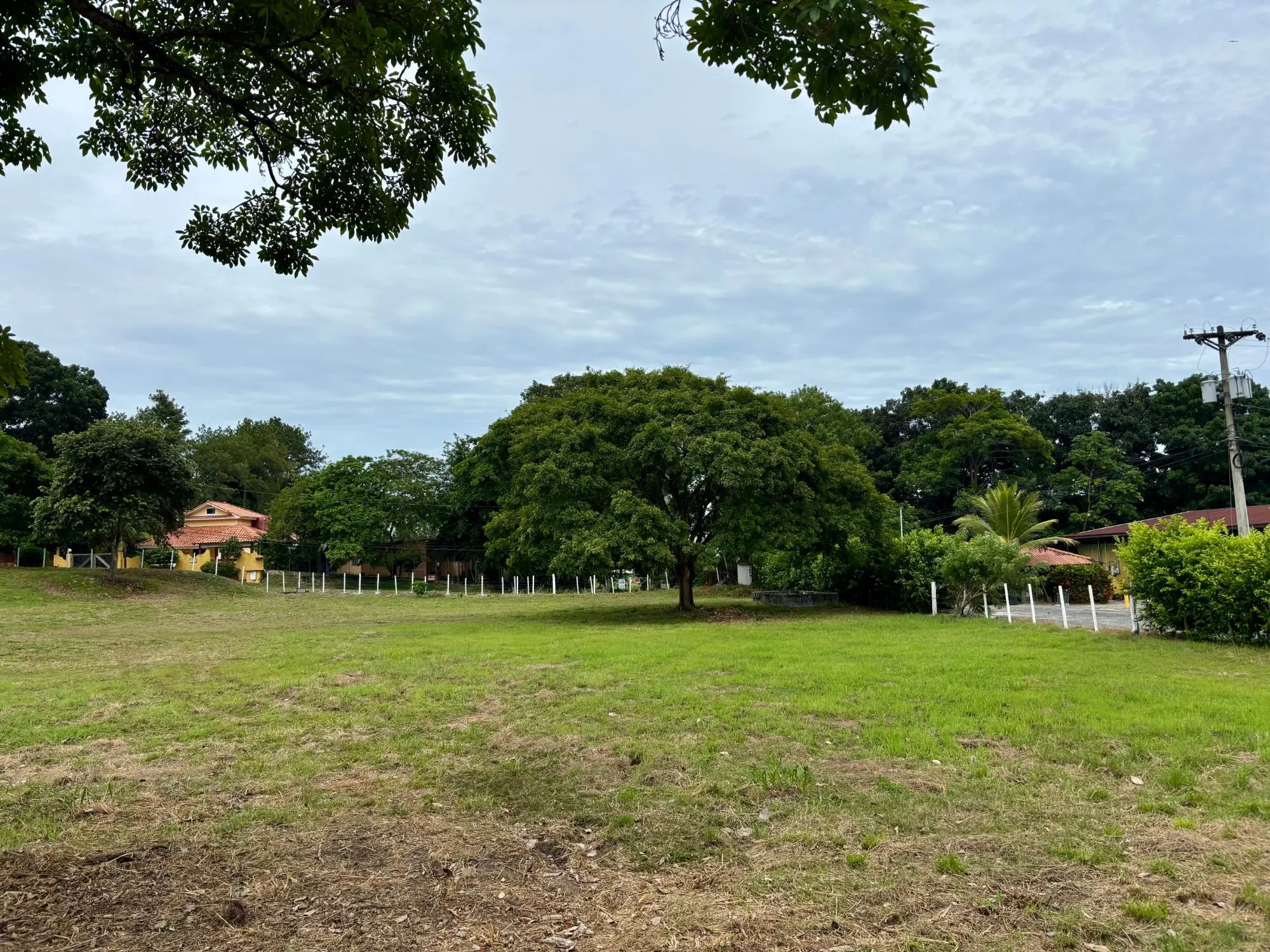 Camino De Los Caballeros #1 - Photo 30