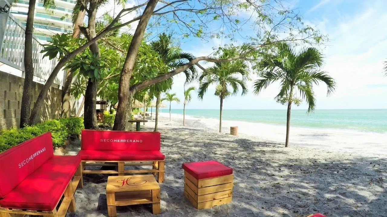 Nueva Gorgona #14a - Photo 54