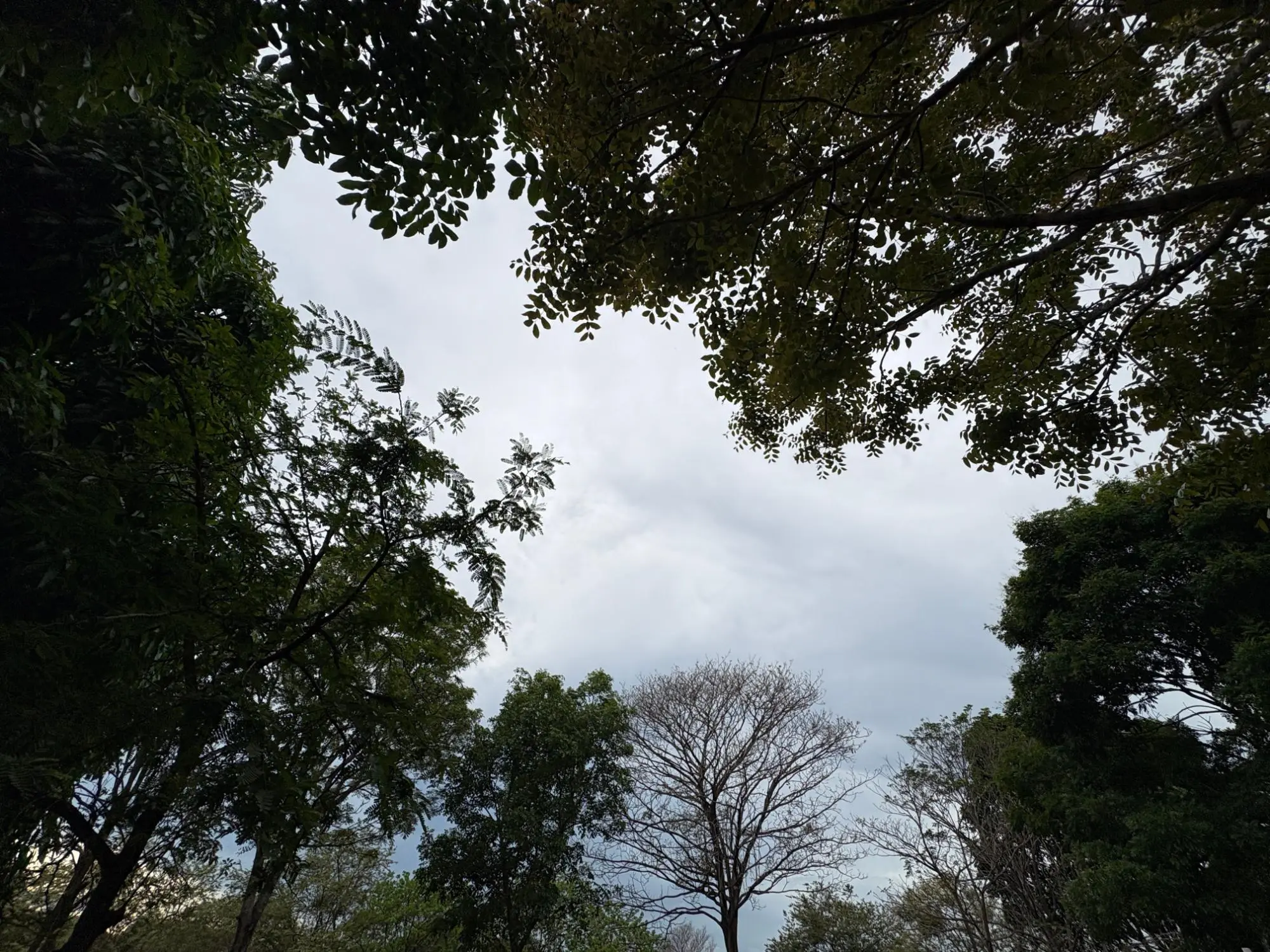 Chame Panama - Photo 102