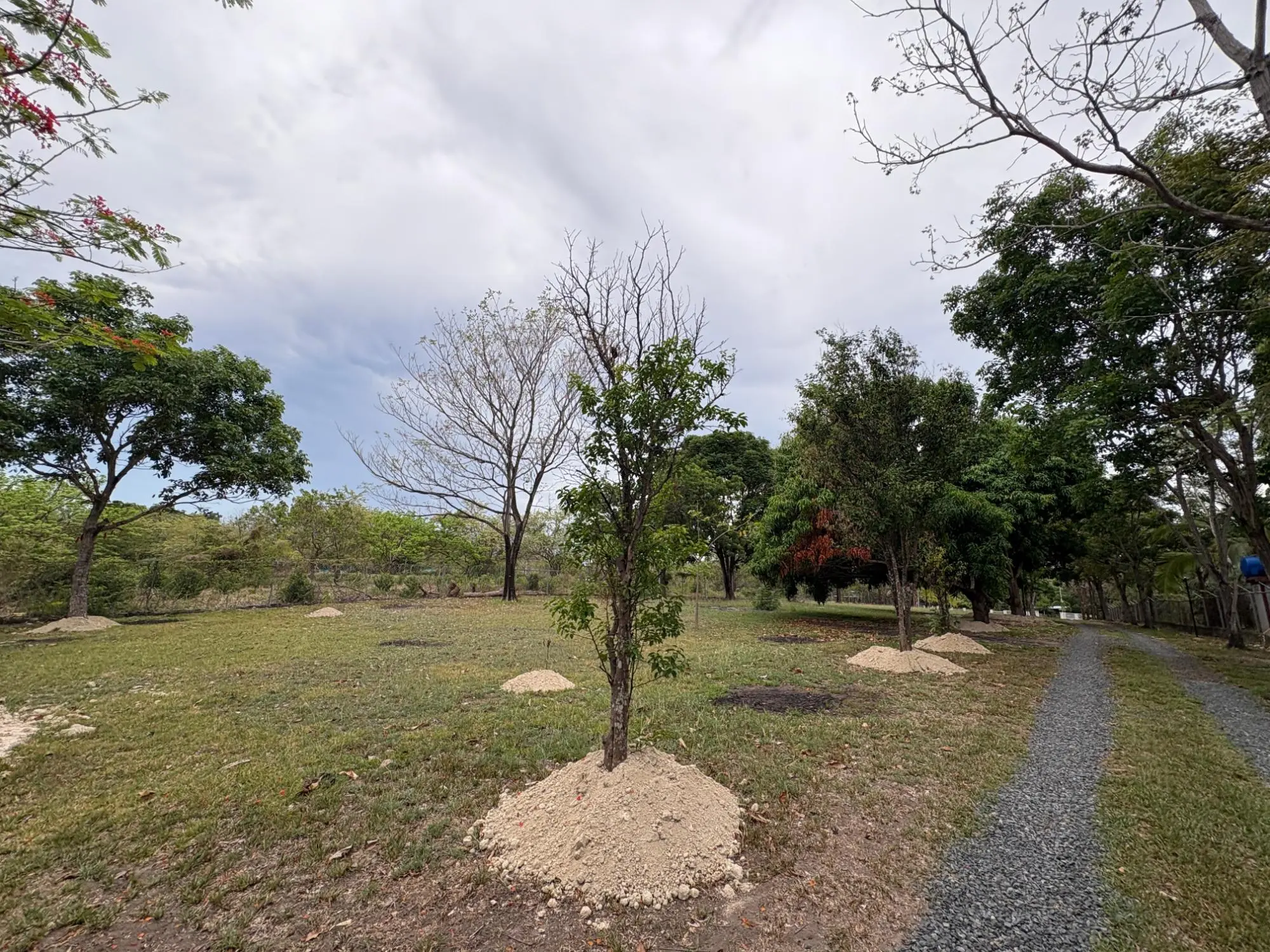 Chame Panama - Photo 99