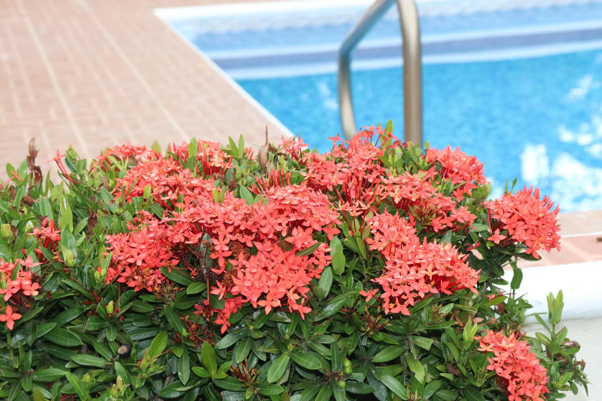 Chame Panama - Photo 137