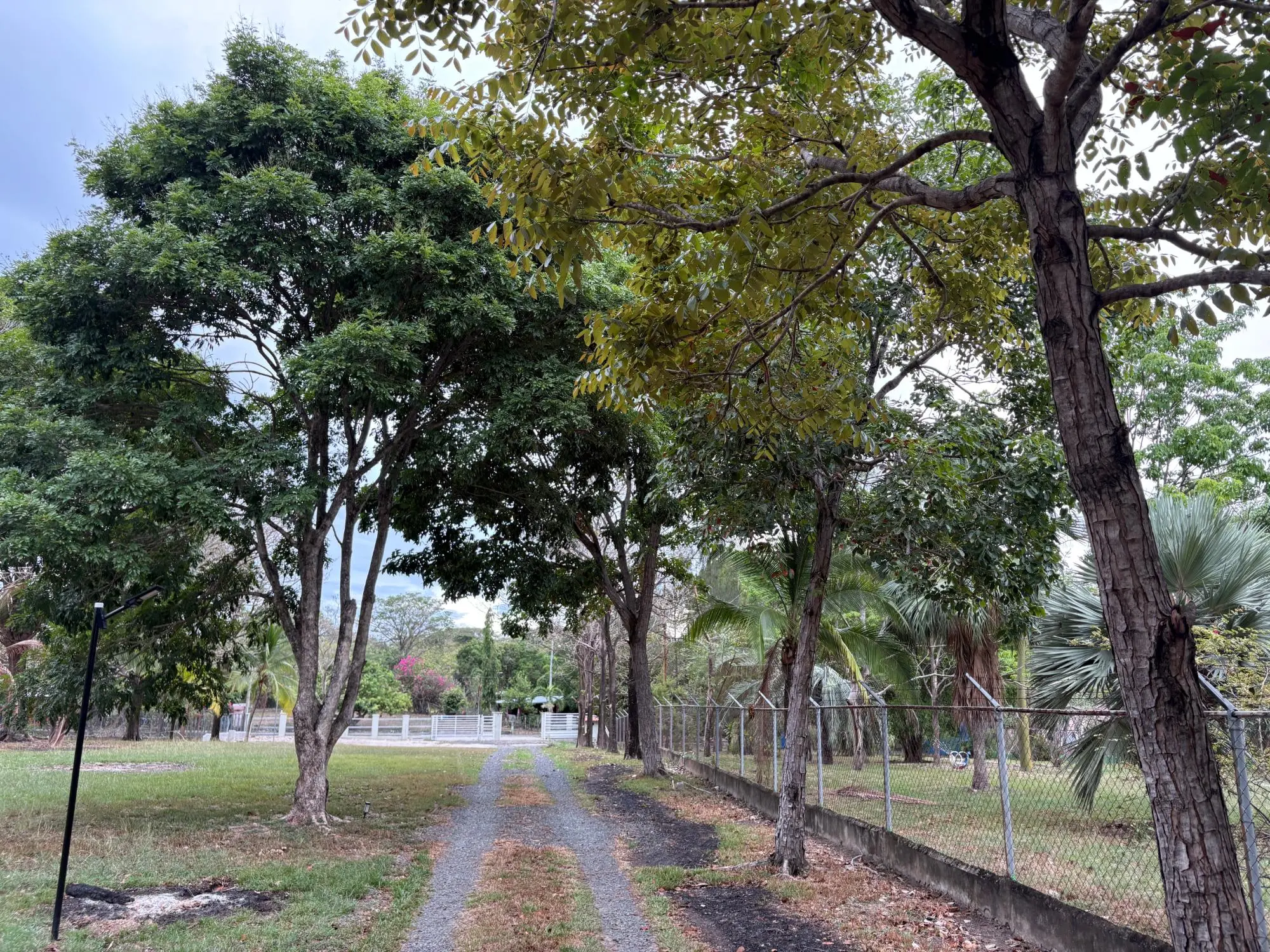 Chame Panama - Photo 8