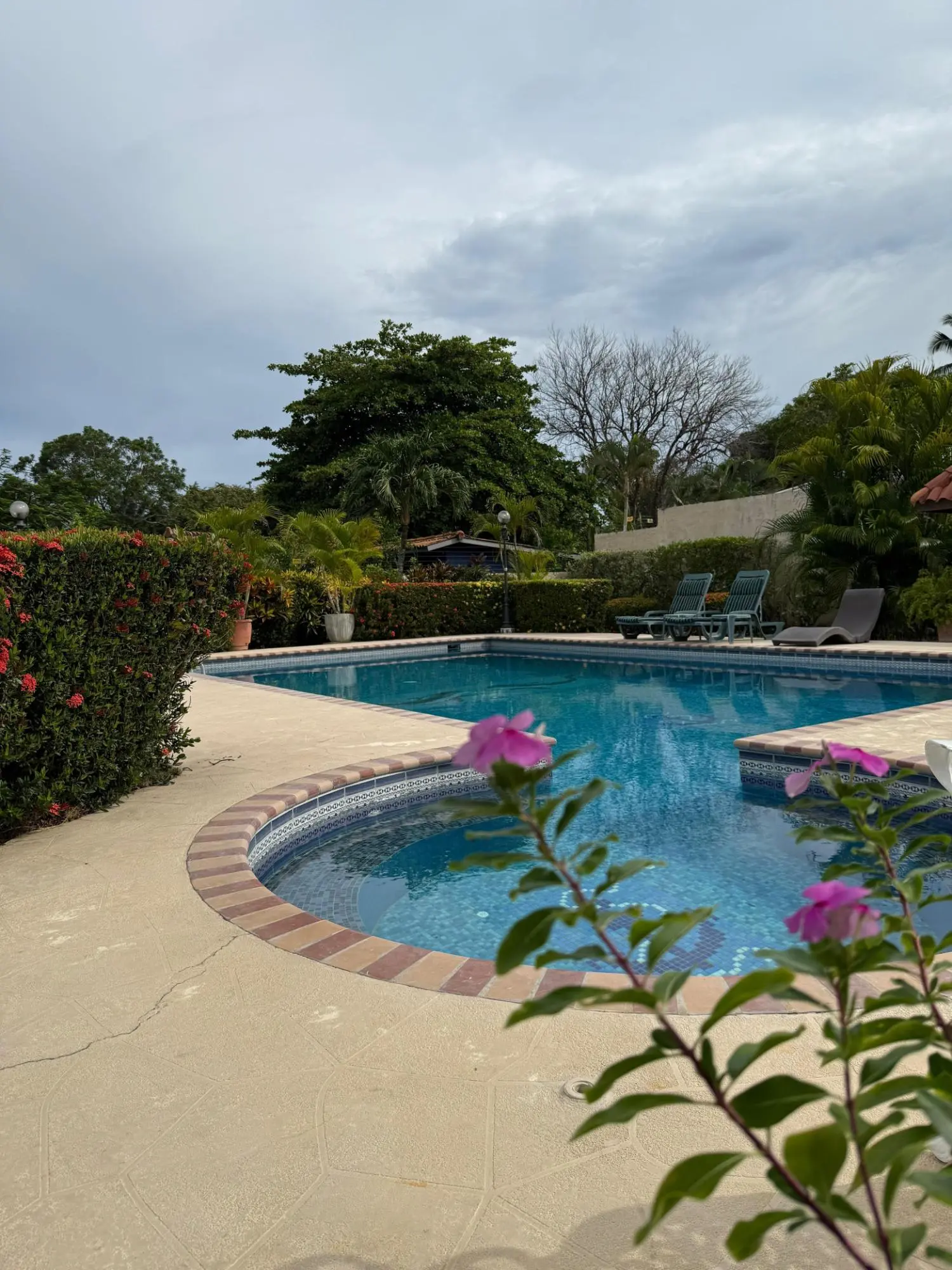 Urbanizacion Coronado, Ave. Punta Prieta Y Via Club Campestre #6 - Photo 9