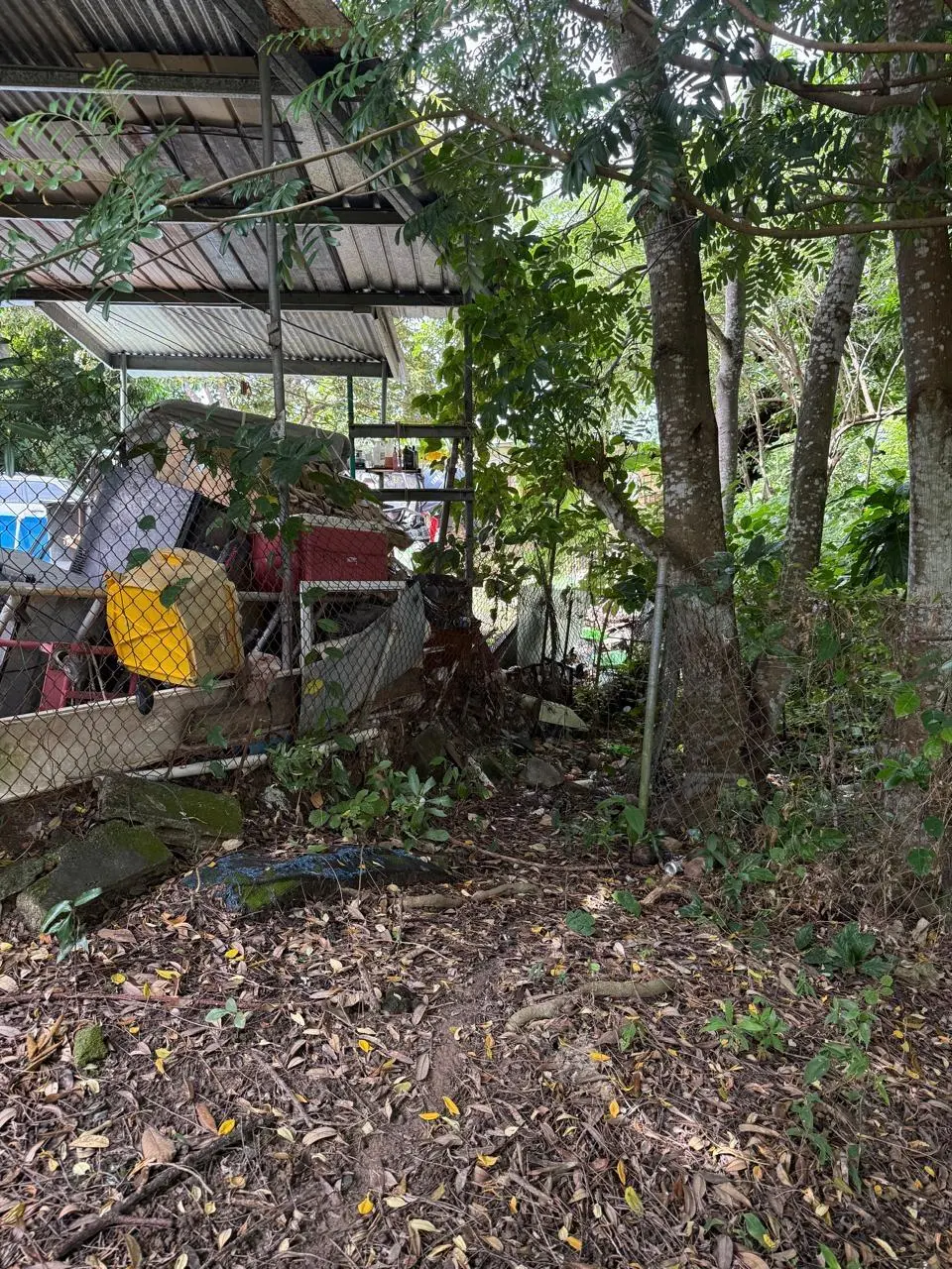 Las Lajas Calle Jade #terreno - Photo 17