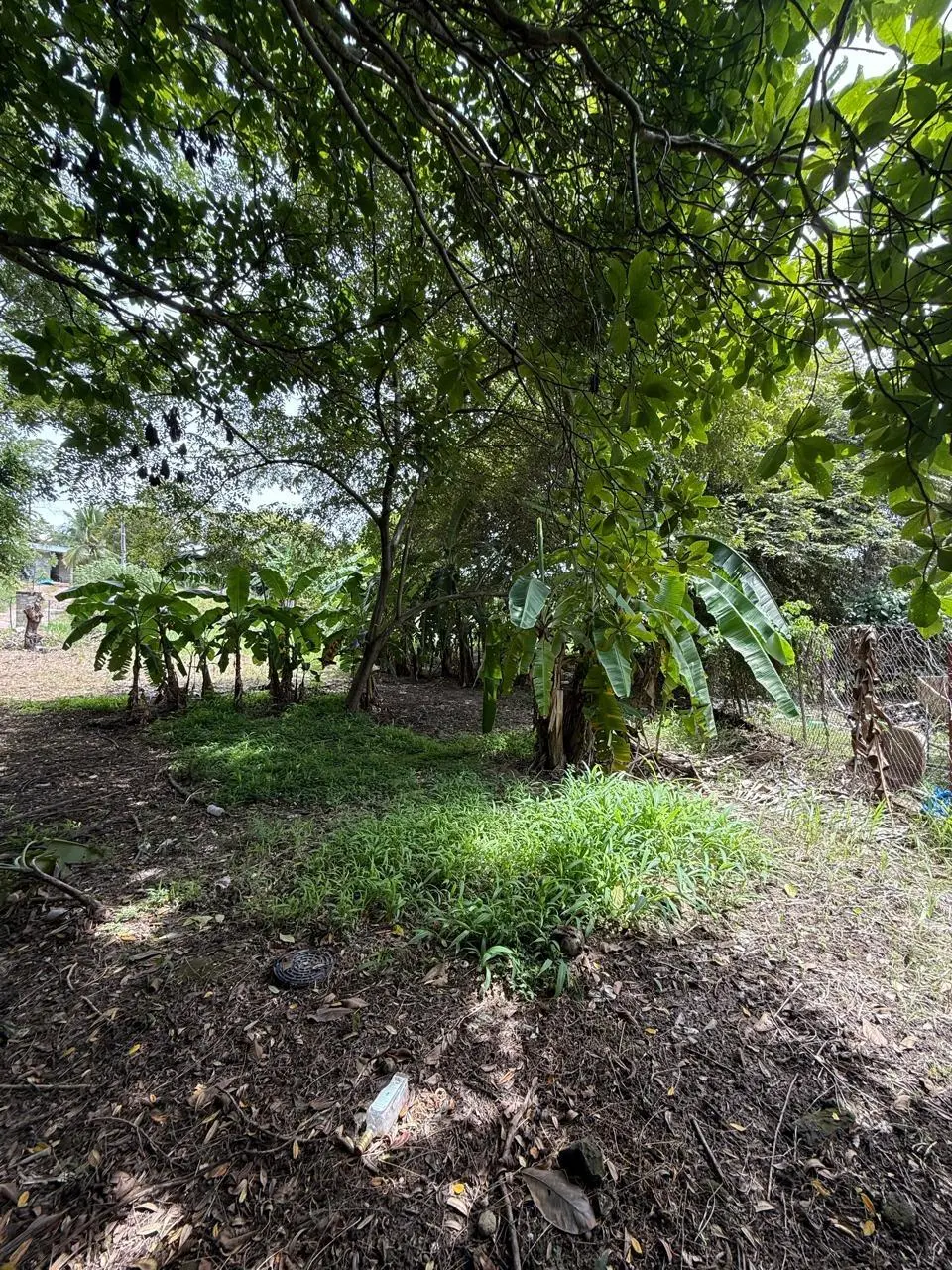 Las Lajas Calle Jade #terreno - Photo 14