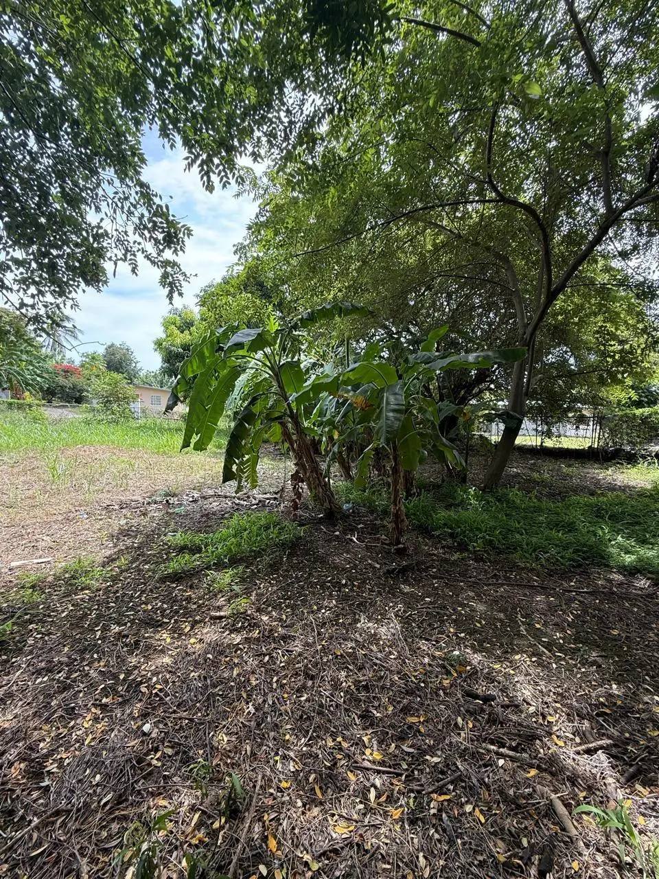 Las Lajas Calle Jade #terreno - Photo 11