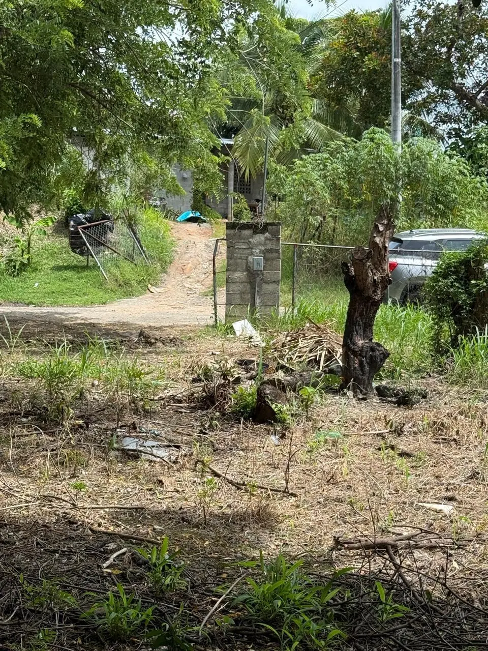 Las Lajas Calle Jade #terreno - Photo 20