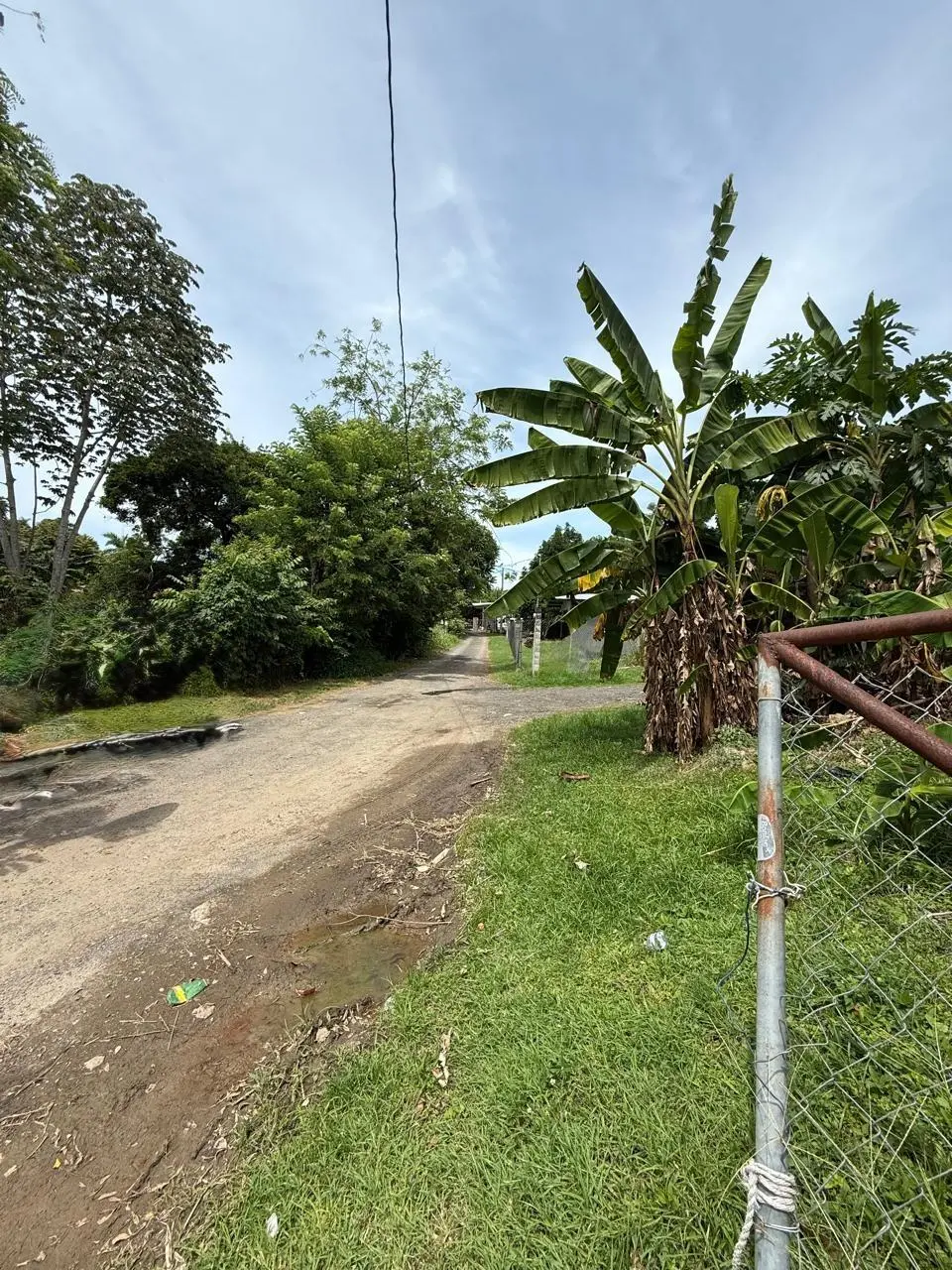 Las Lajas Calle Jade #terreno - Photo 23
