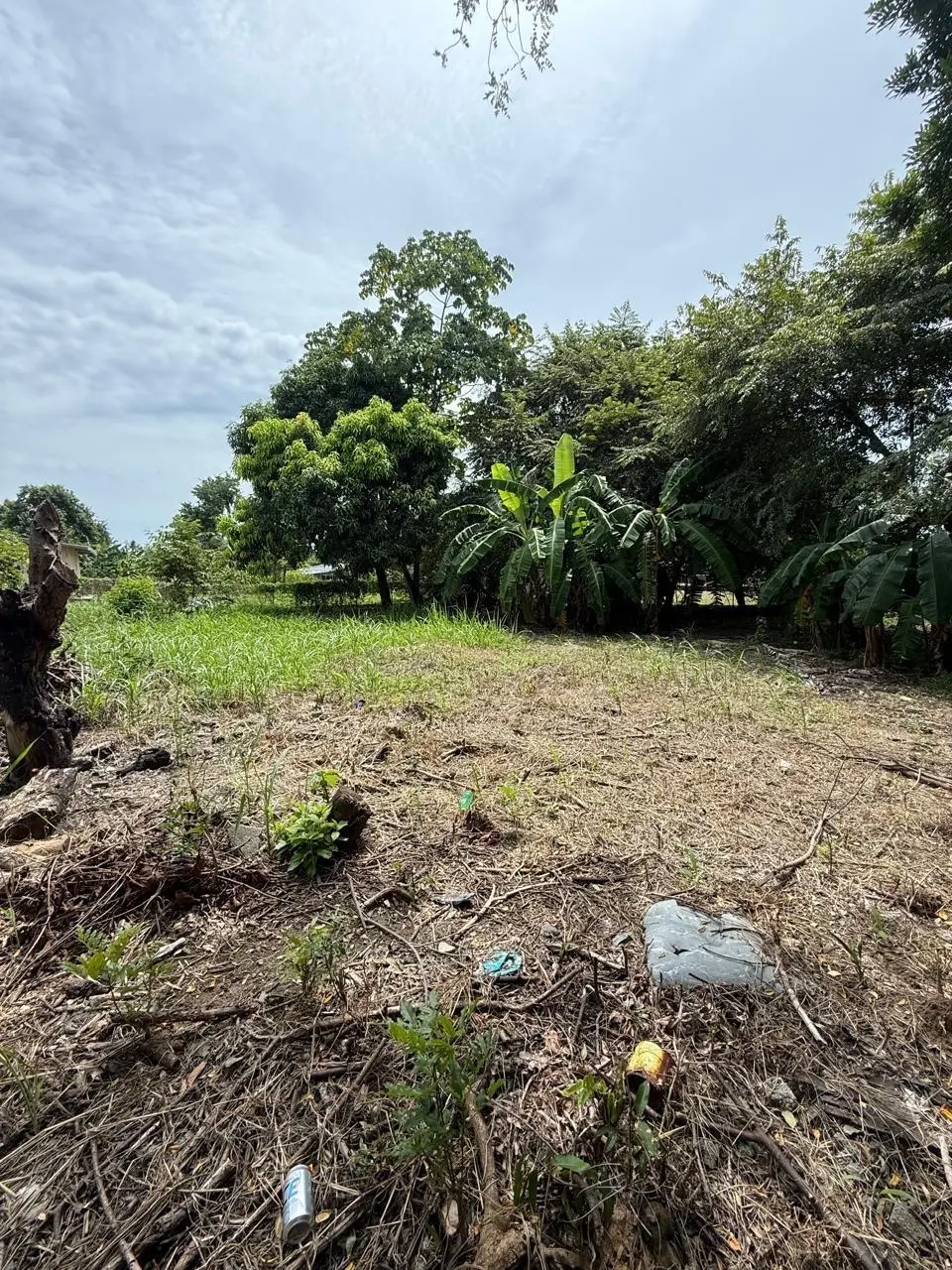 Las Lajas Calle Jade #terreno - Photo 4