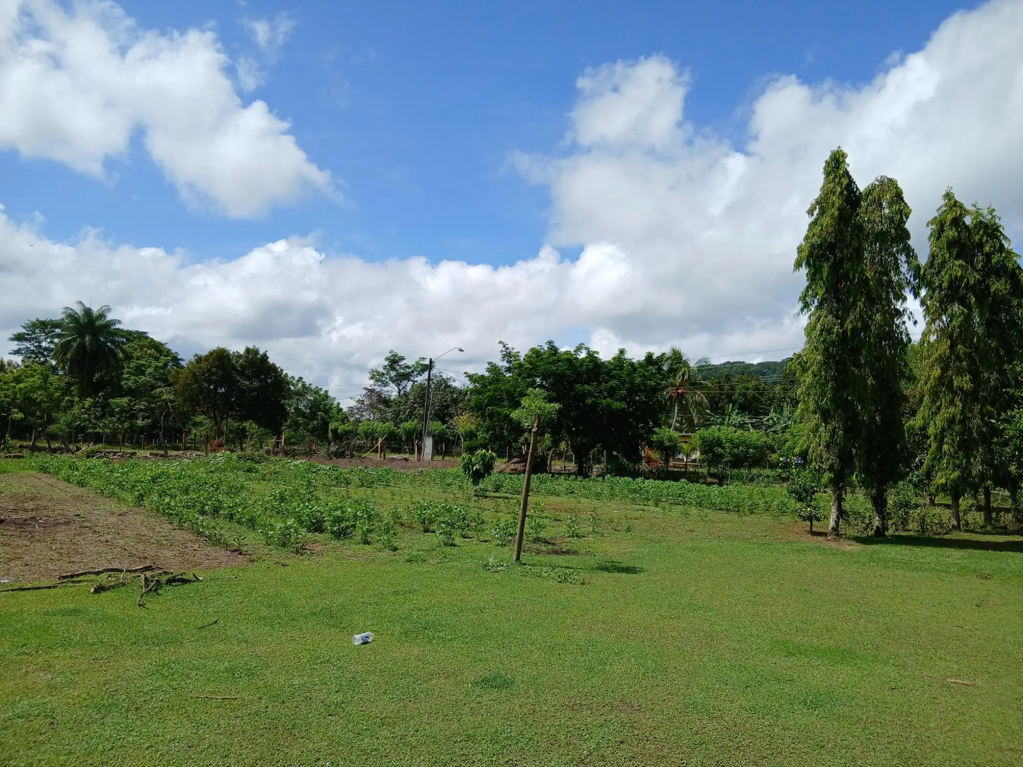 Las Lomas, David - Photo 38