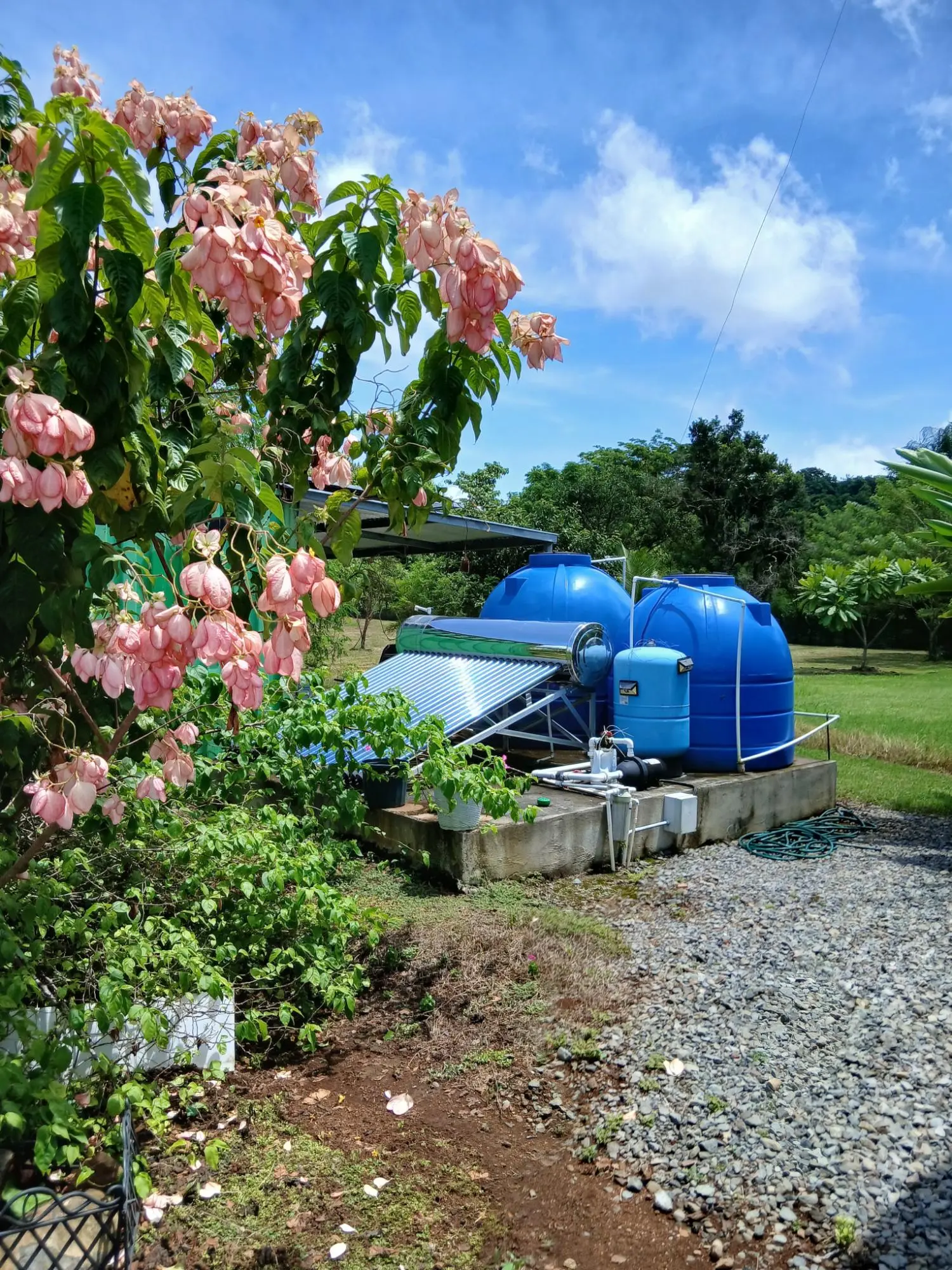 Las Lomas, David - Photo 83