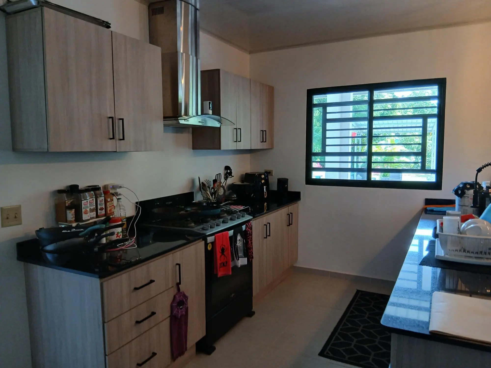 Las Lomas, David - Photo 70