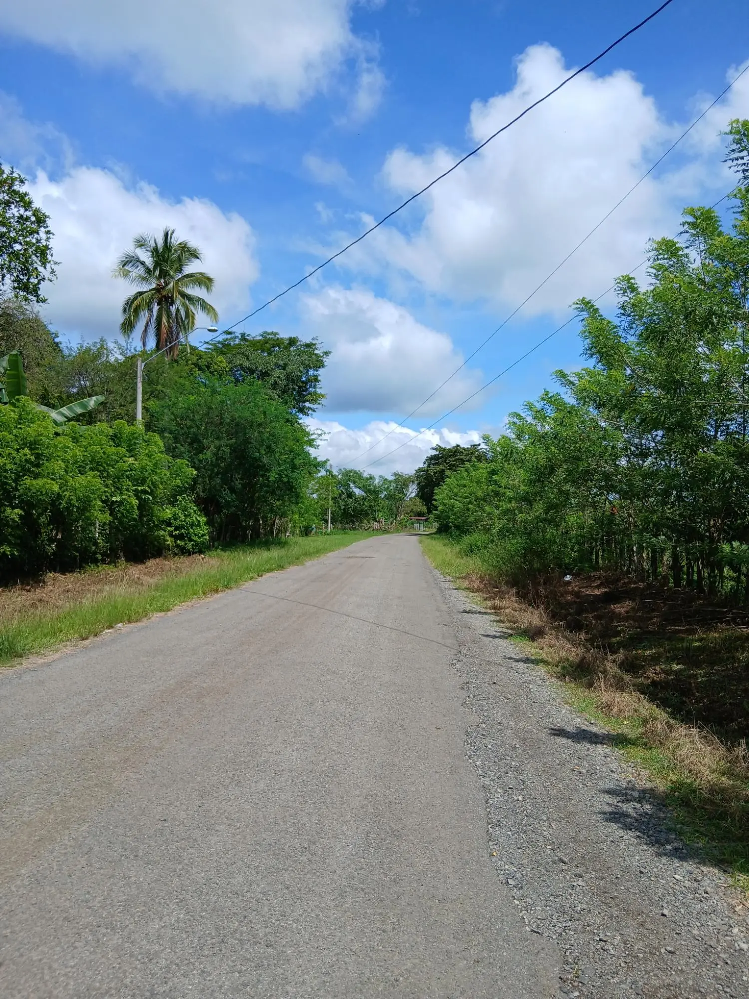 Las Lomas, David - Photo 48