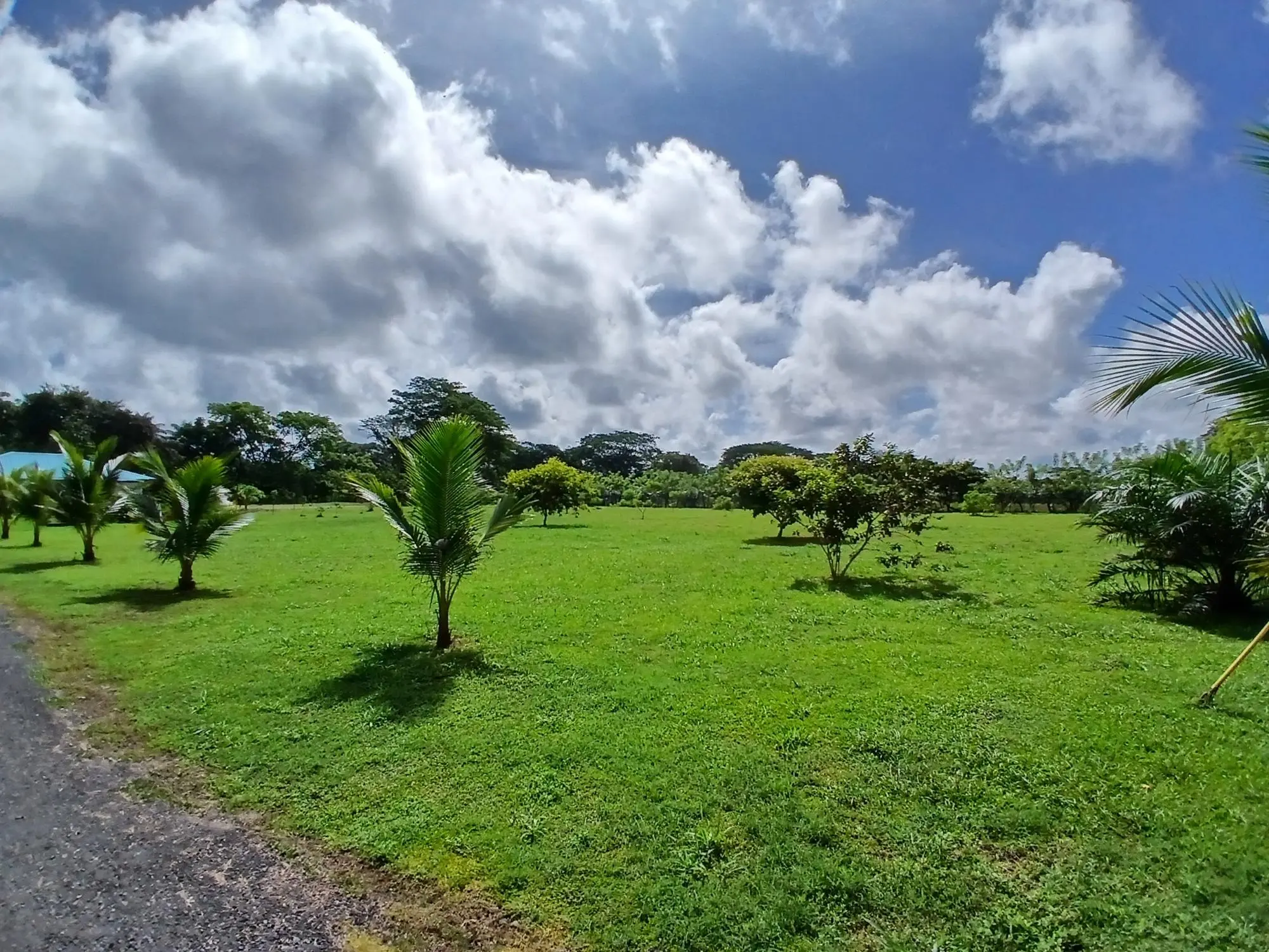 Las Lomas, David - Photo 5