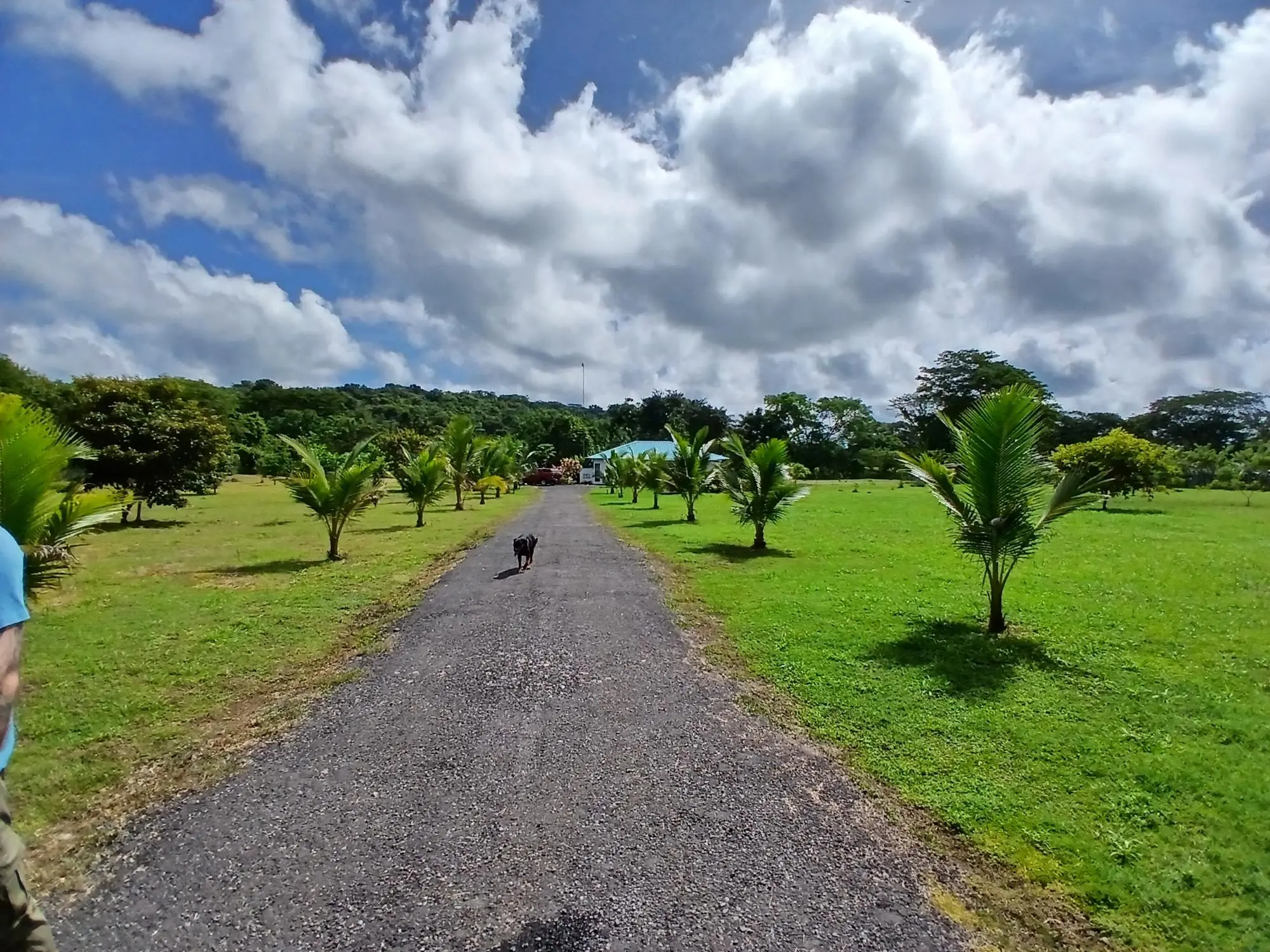 Las Lomas, David - Photo 2