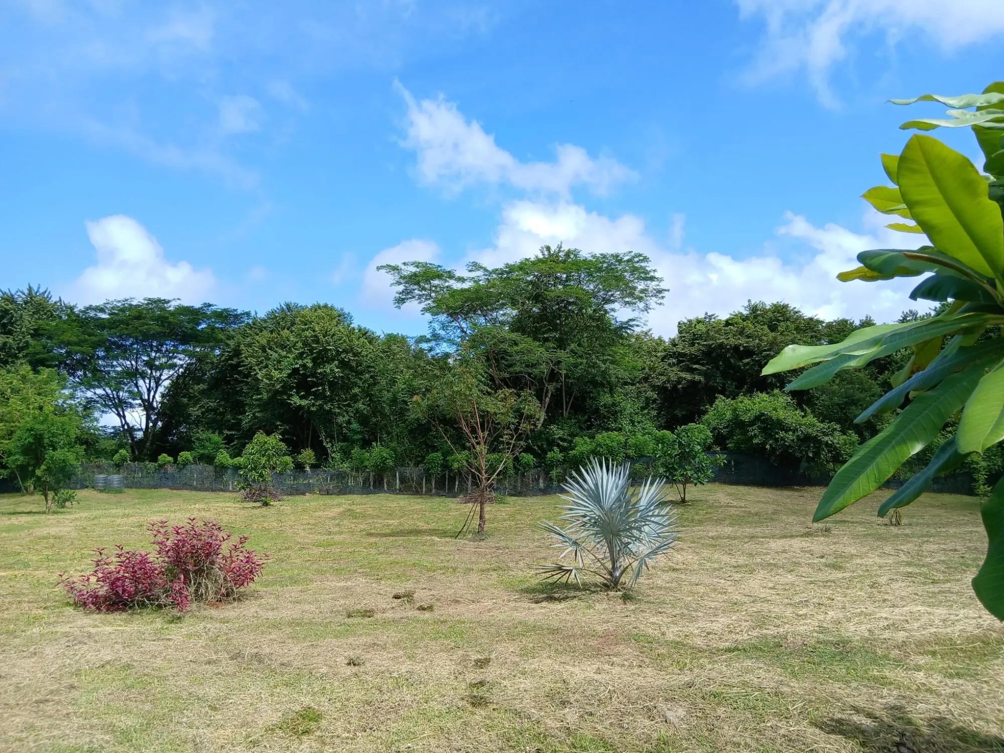 Las Lomas, David - Photo 15