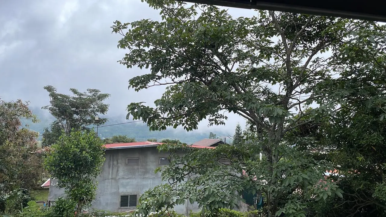 16a Calle 16a Noreste #16a - Photo 29