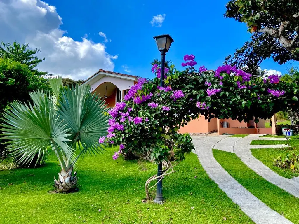 #4 Trinity Hills Valley. Capira - Photo 4