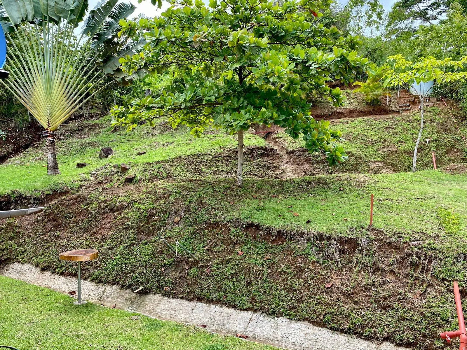 #4 Trinity Hills Valley. Capira - Photo 52