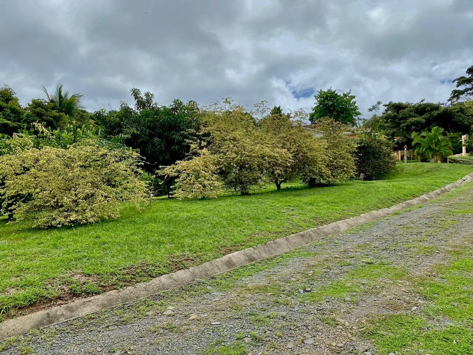 #4 Trinity Hills Valley. Capira - Photo 50