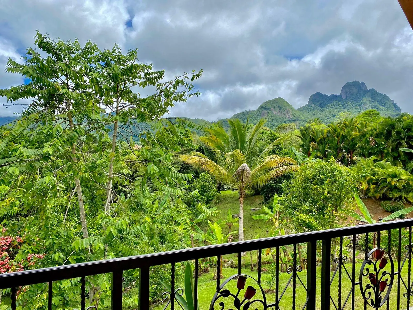 #4 Trinity Hills Valley. Capira - Photo 22