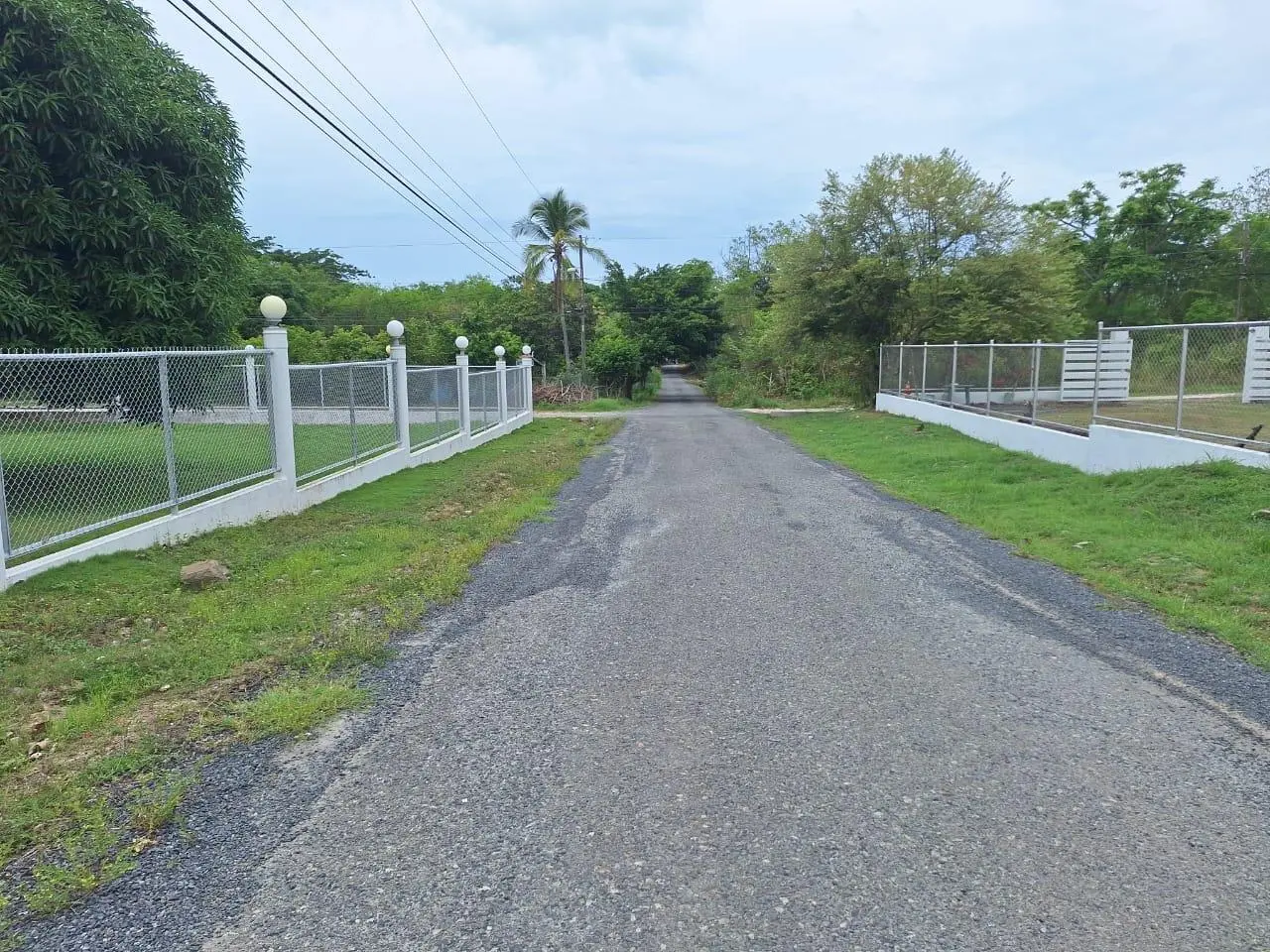 Coronado Calle El Verano Y Via Pacífica - Photo 14