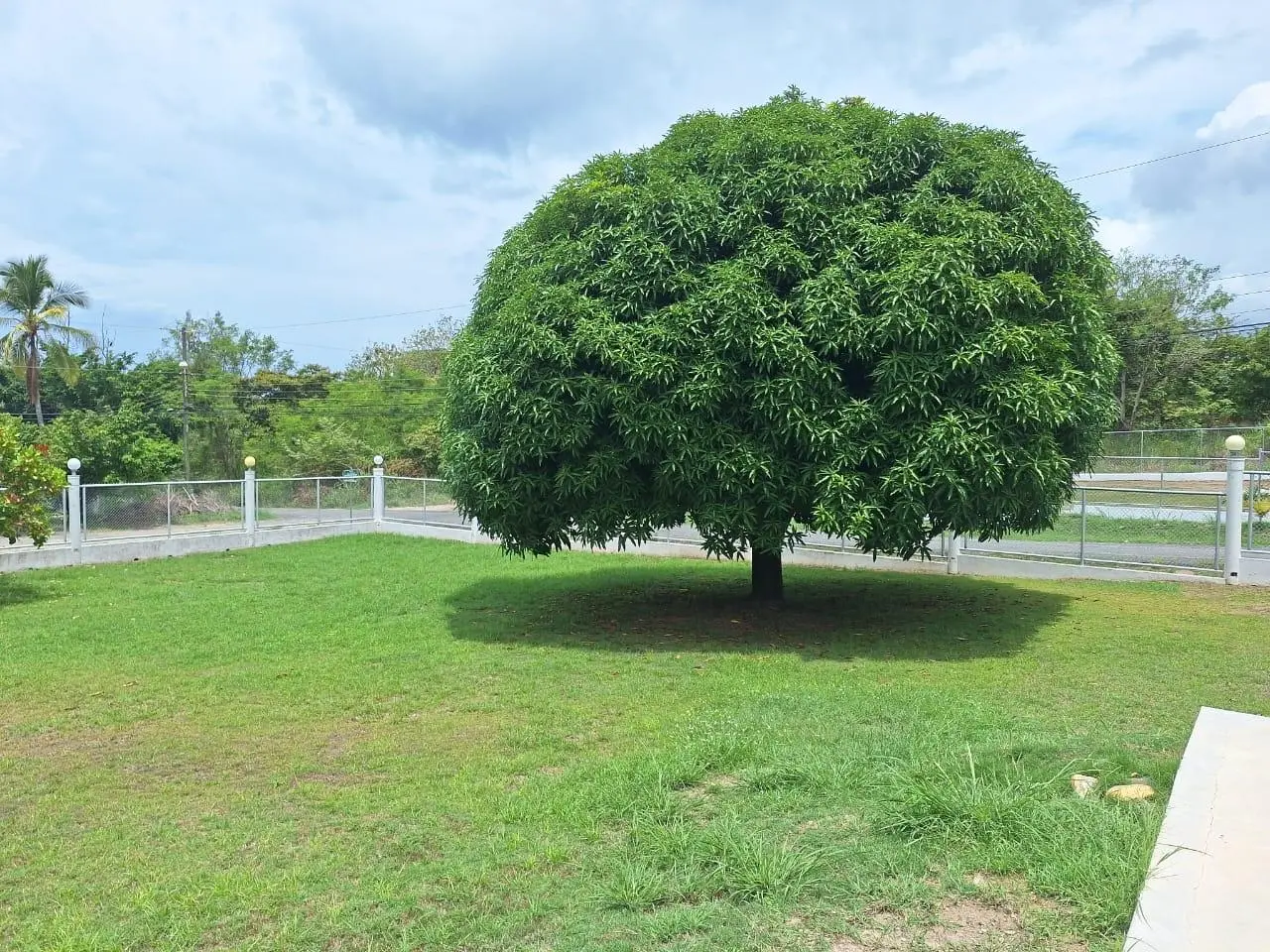 Coronado Calle El Verano Y Via Pacífica - Photo 10