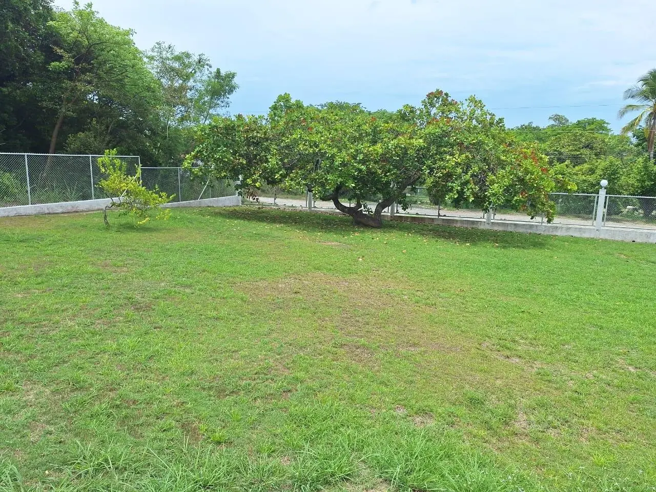 Coronado Calle El Verano Y Via Pacífica - Photo 9