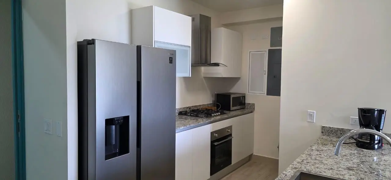 Ph Ventanas Del Mar 3, Playa Caracol, Punta Chame, Panama Oeste #03b-3c - Photo 52