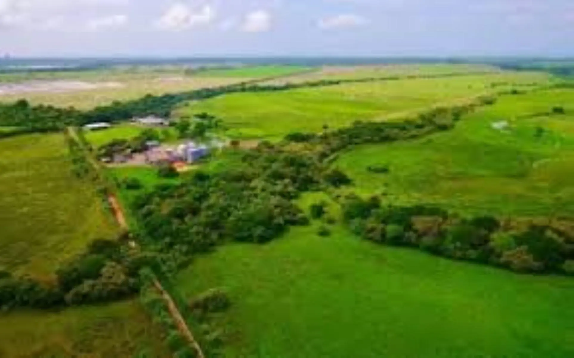 Juan Hombrón, Coclé, Panamá - Photo 18