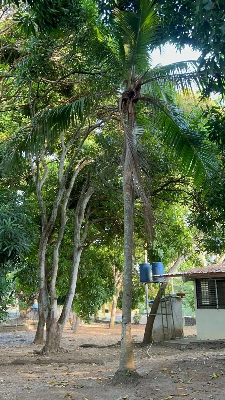 Calle Sin Nombre, - Photo 6