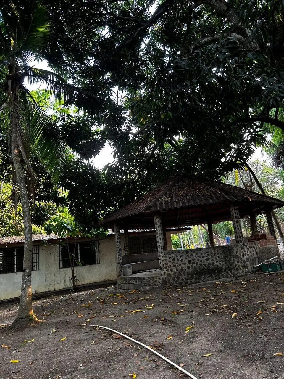 Calle Sin Nombre, - Photo 13