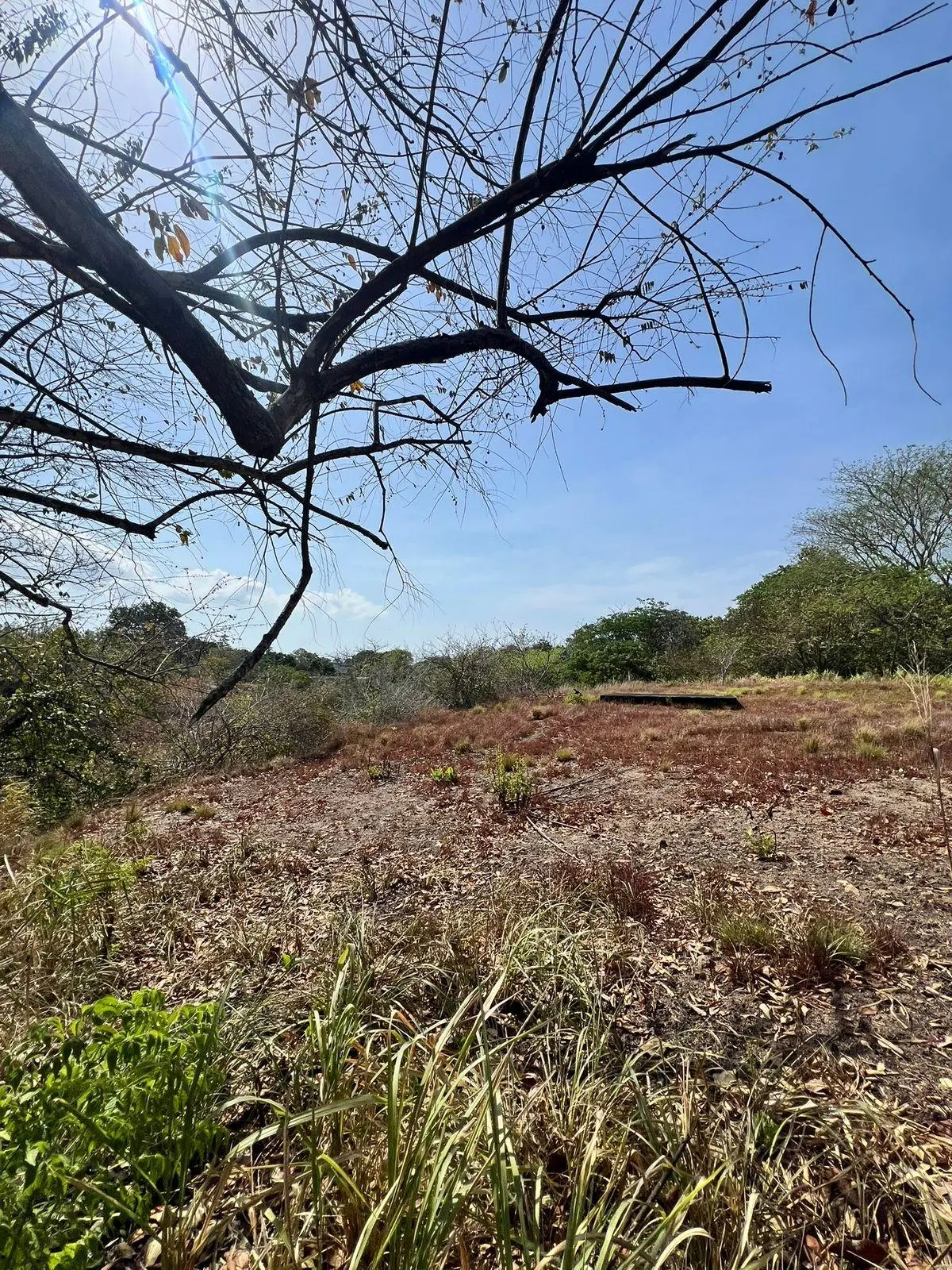 El Nance, San Carlos, Panama Oeste, Panama - Photo 30