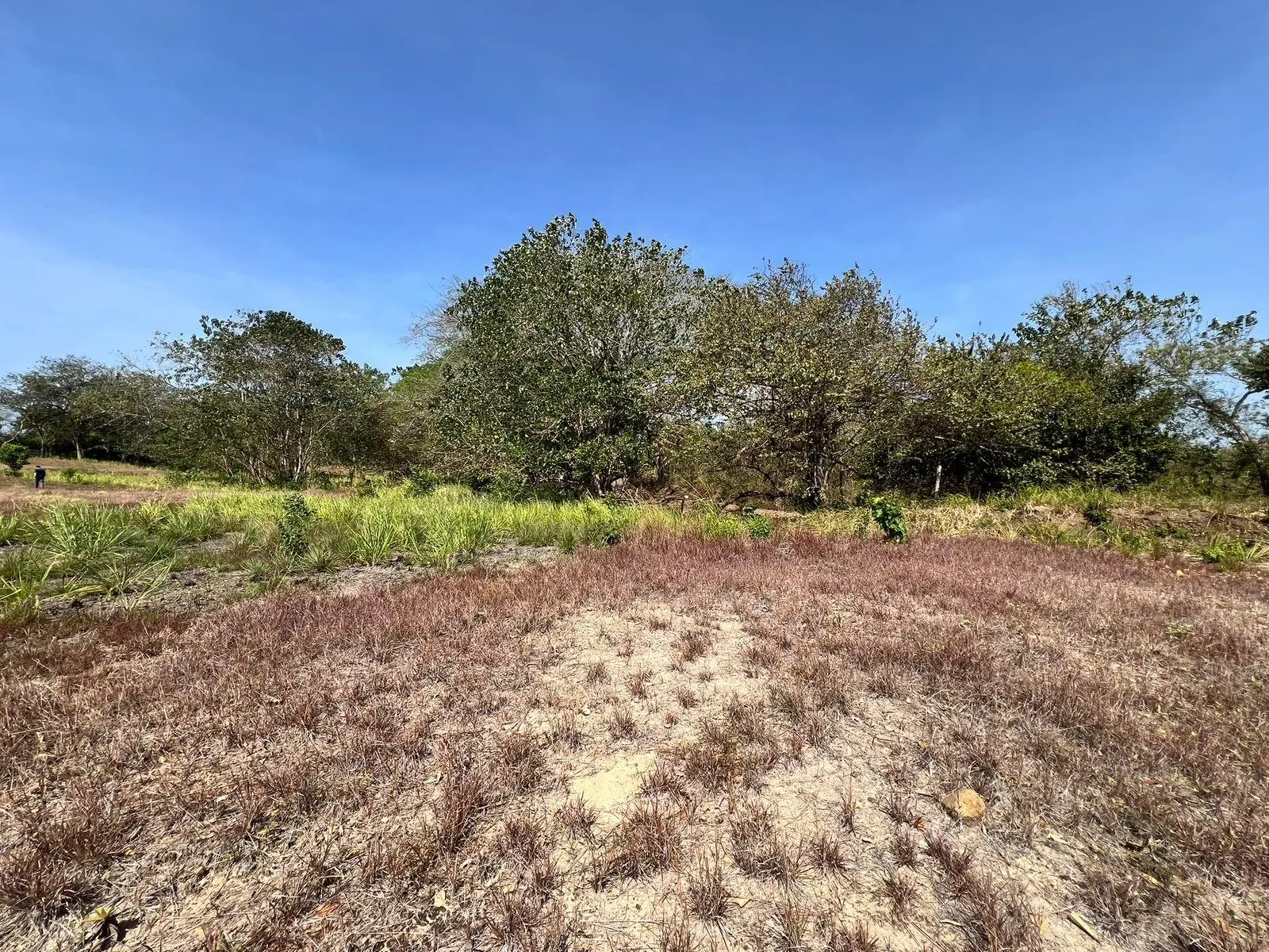 El Nance, San Carlos, Panama Oeste, Panama - Photo 22