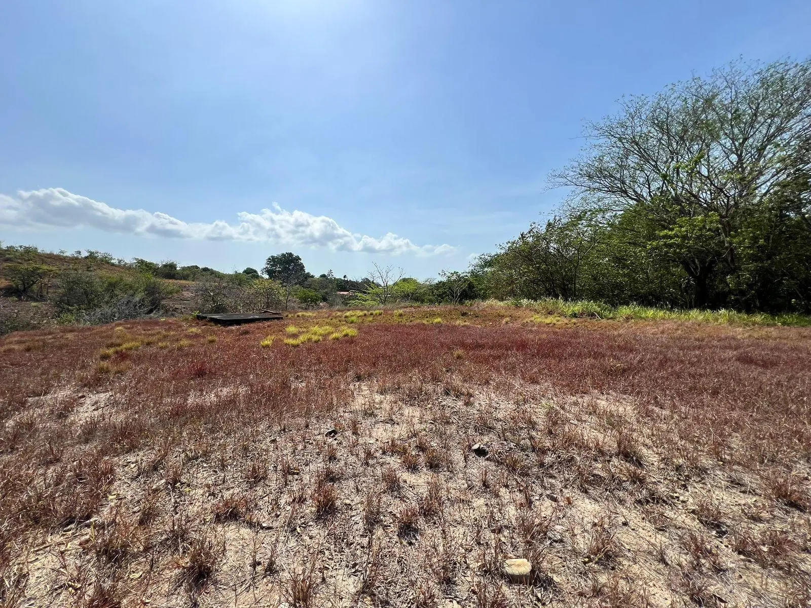 El Nance, San Carlos, Panama Oeste, Panama - Photo 2