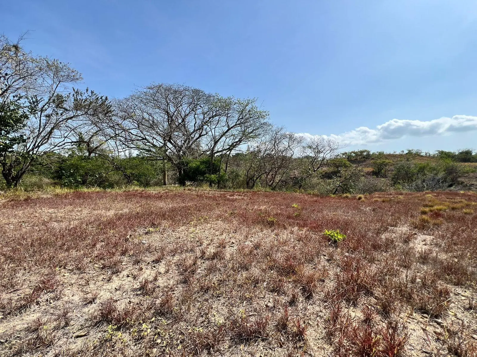 El Nance, San Carlos, Panama Oeste, Panama - Photo 11