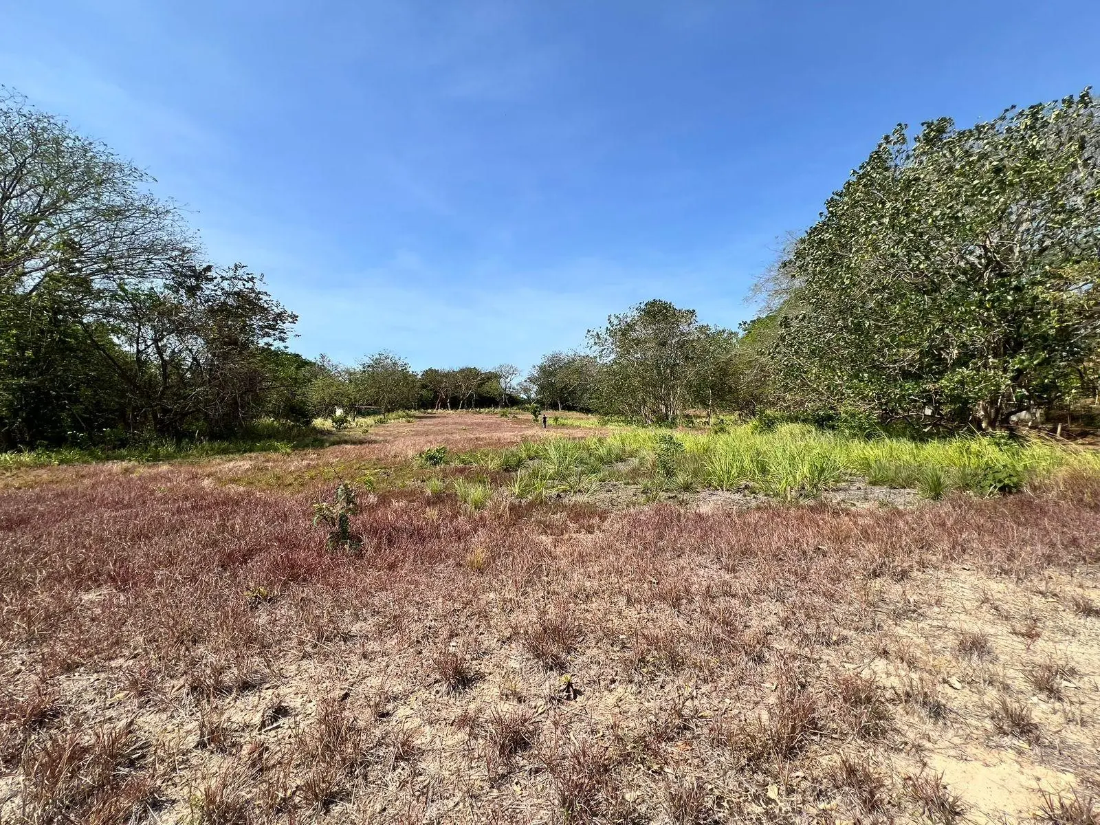 El Nance, San Carlos, Panama Oeste, Panama - Photo 6