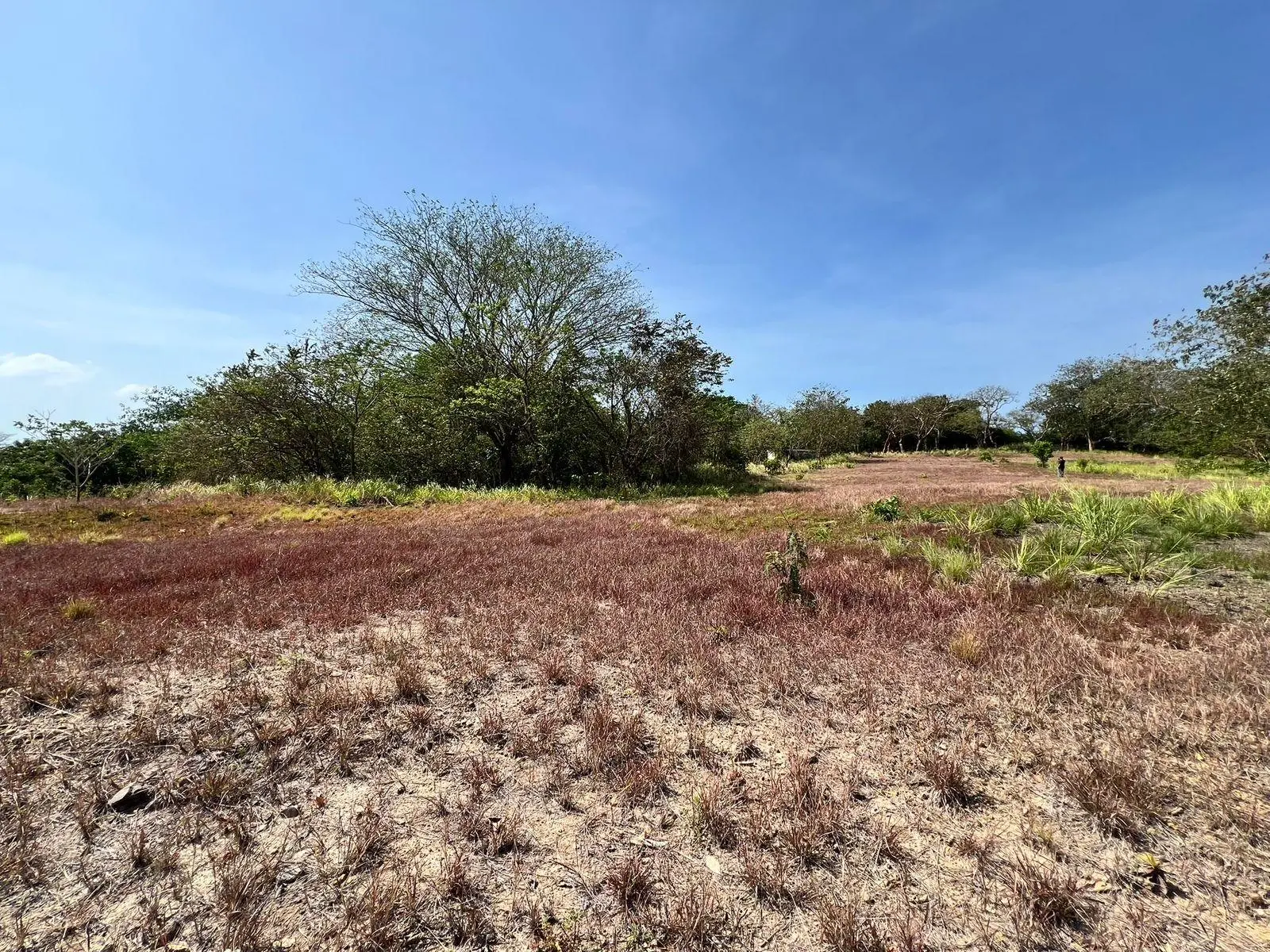 El Nance, San Carlos, Panama Oeste, Panama - Photo 38