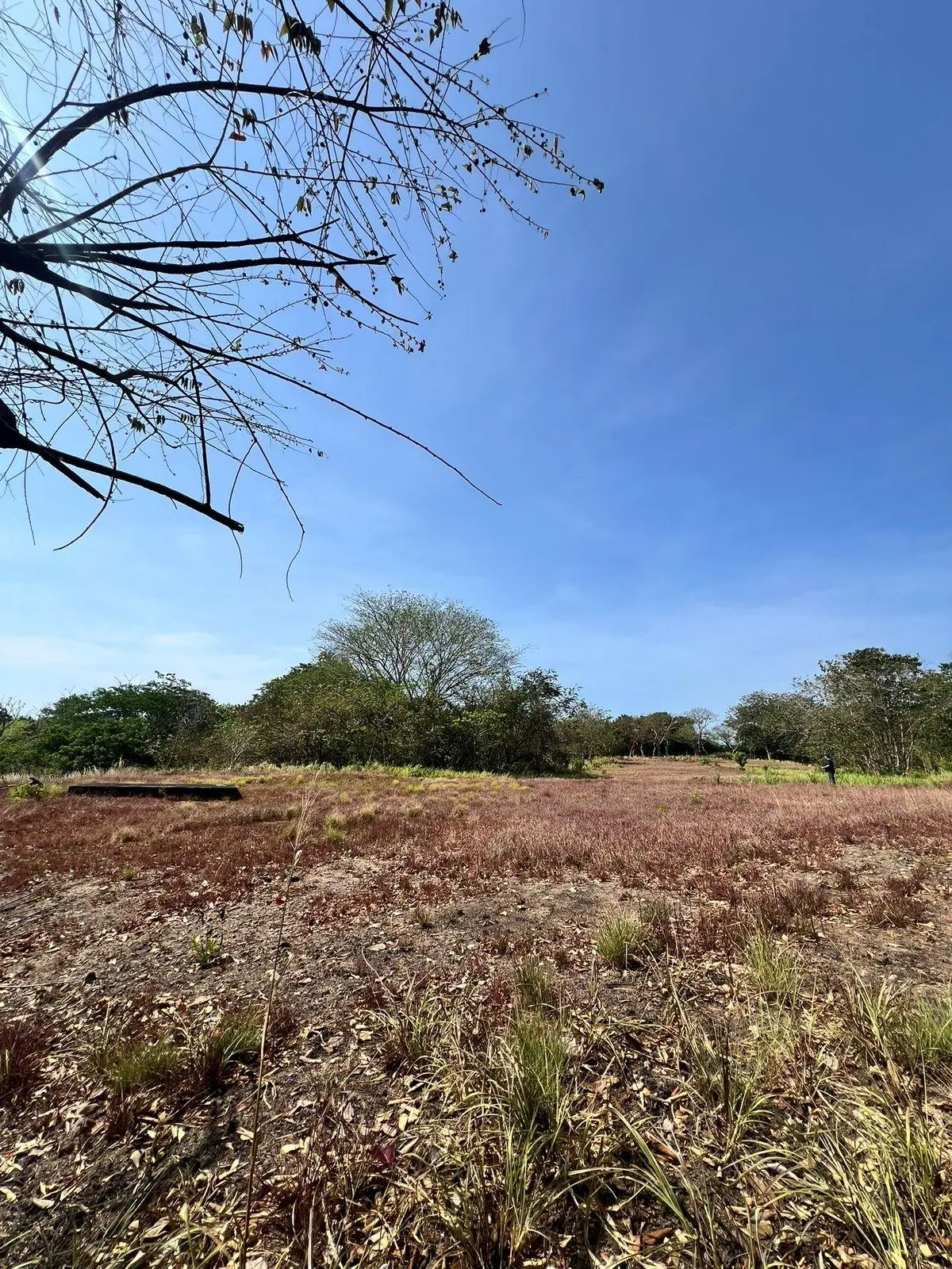 El Nance, San Carlos, Panama Oeste, Panama - Photo 8