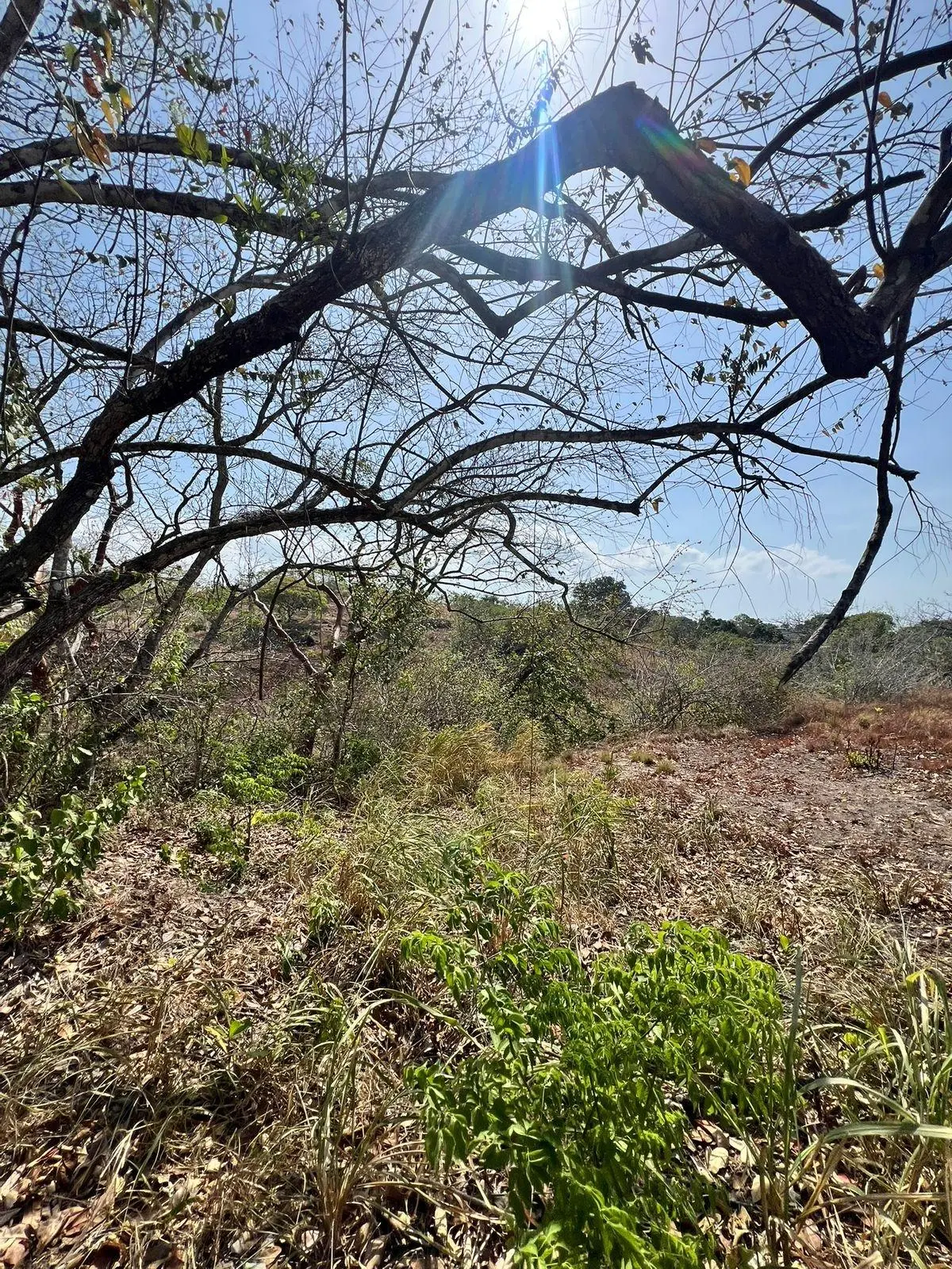 El Nance, San Carlos, Panama Oeste, Panama - Photo 31
