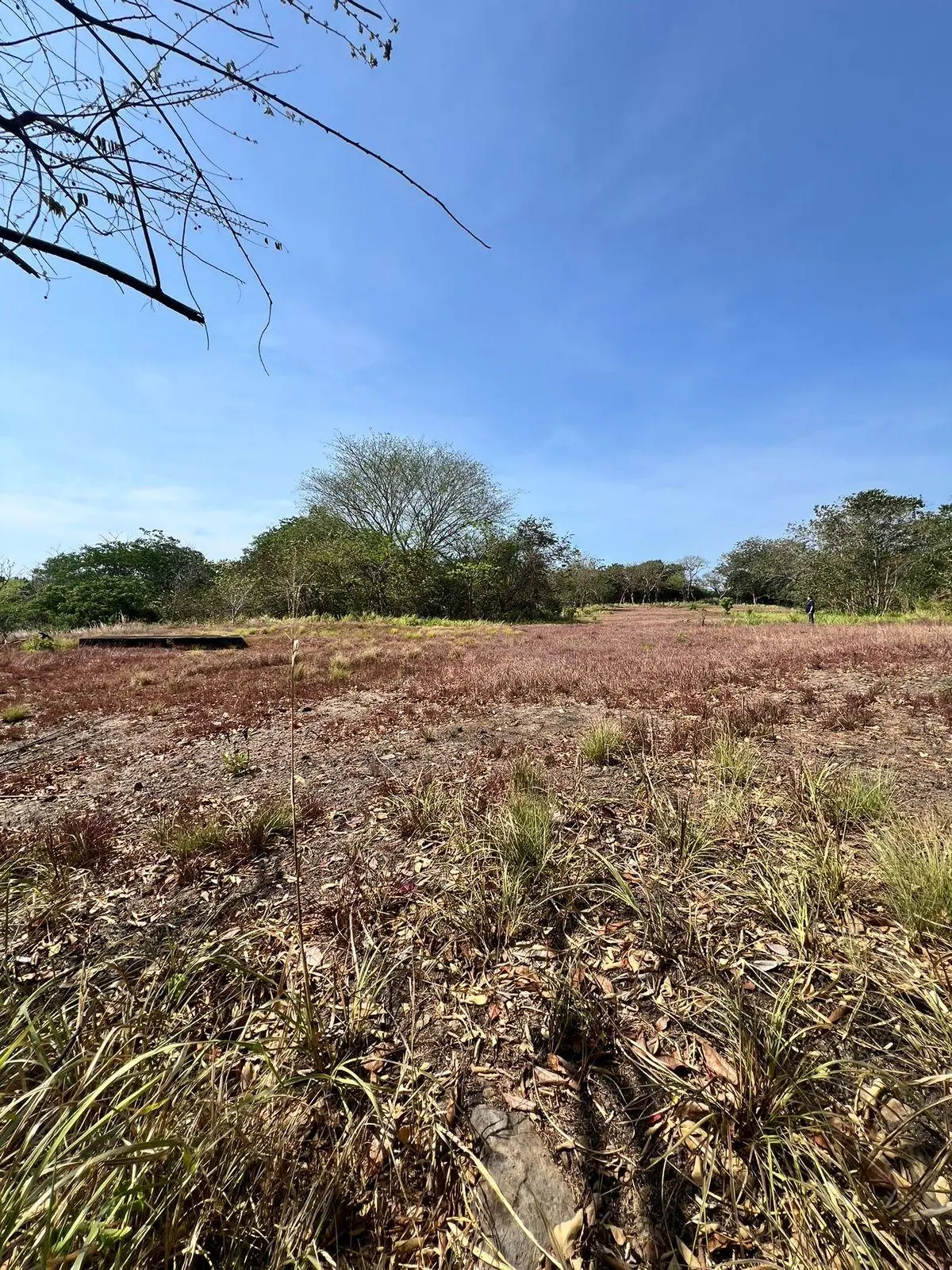 El Nance, San Carlos, Panama Oeste, Panama - Photo 17