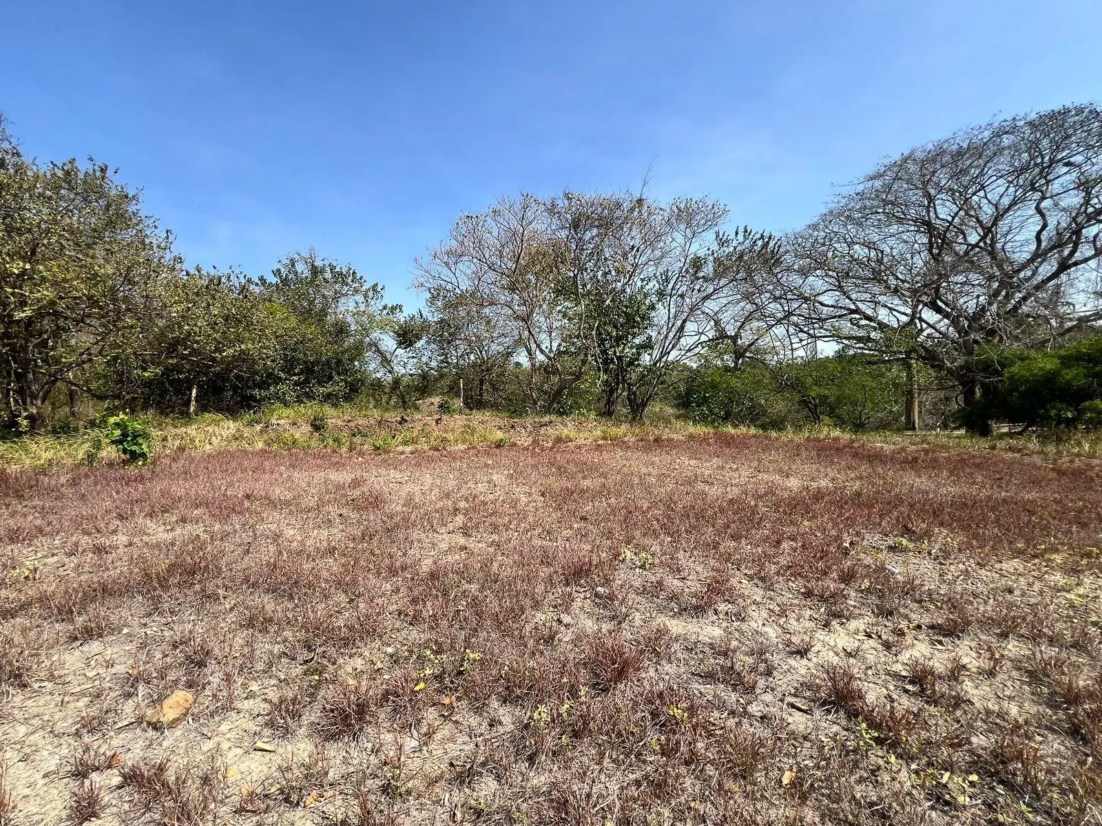 El Nance, San Carlos, Panama Oeste, Panama - Photo 35