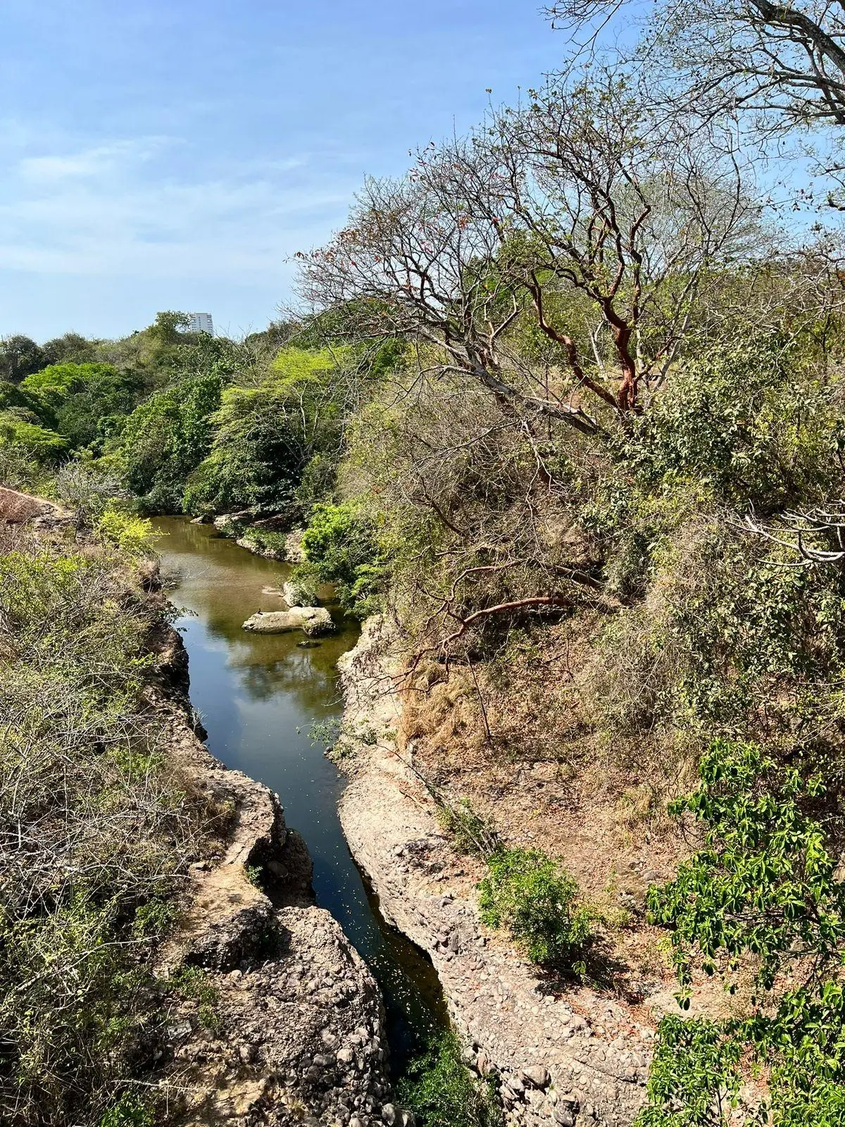 El Nance, San Carlos, Panama Oeste, Panama - Photo 26