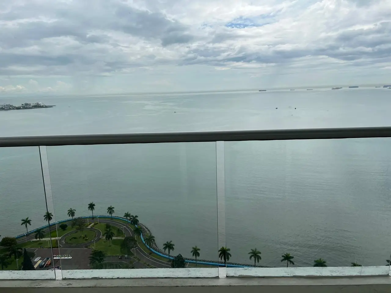 Calle 33 Avenida Balboa #1 - Photo 42