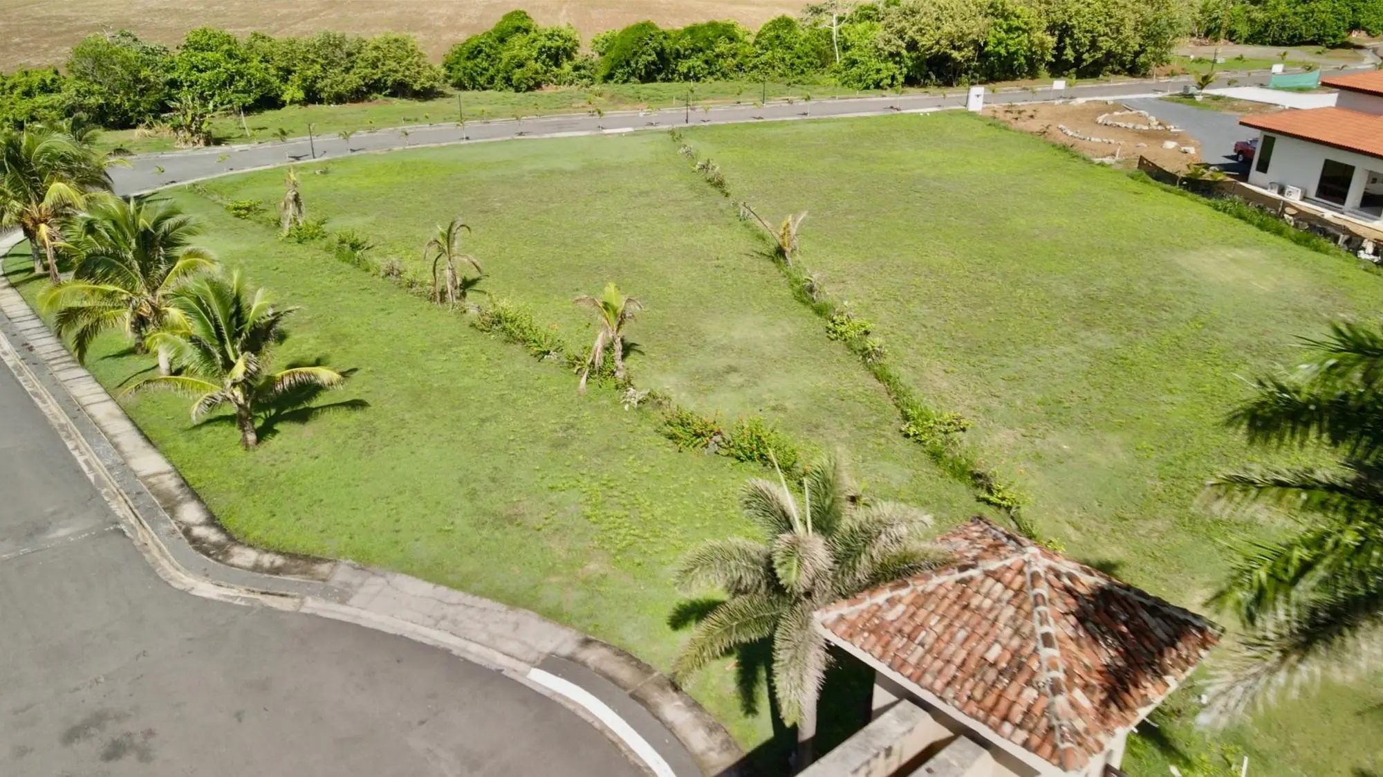 Calle Pedasi - Photo 10