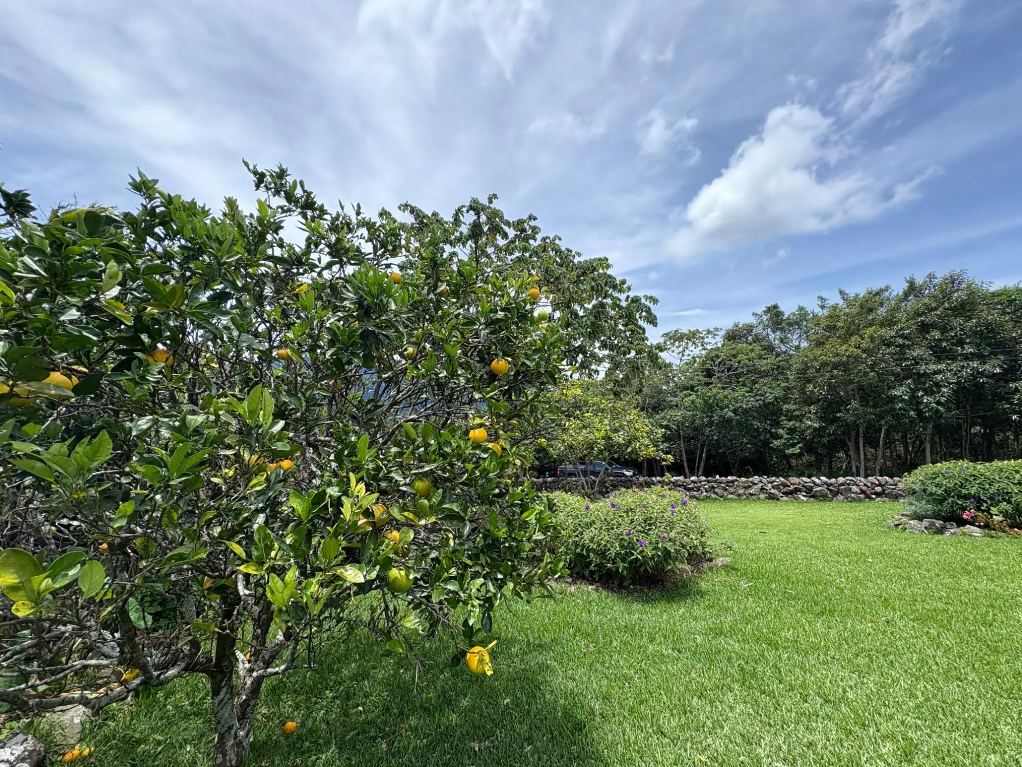 Volcancito Boquete Chiriqui Panama - Photo 89