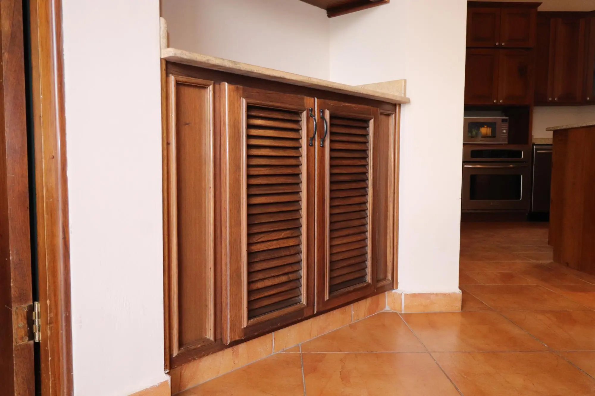 Volcancito Boquete Chiriqui Panama - Photo 49