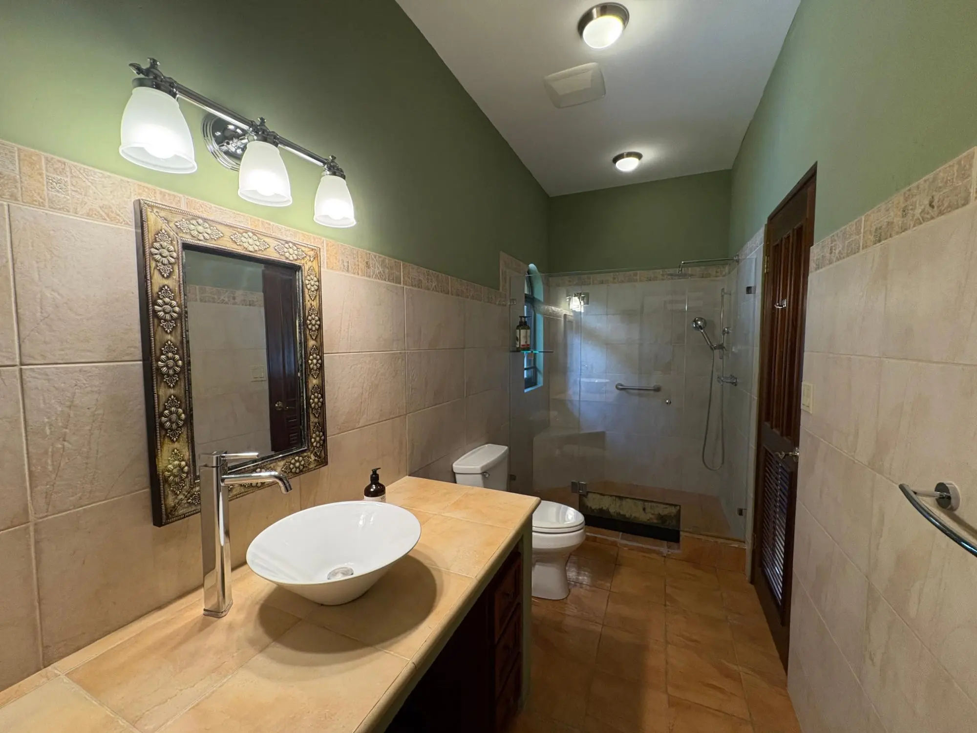 Volcancito Boquete Chiriqui Panama - Photo 68