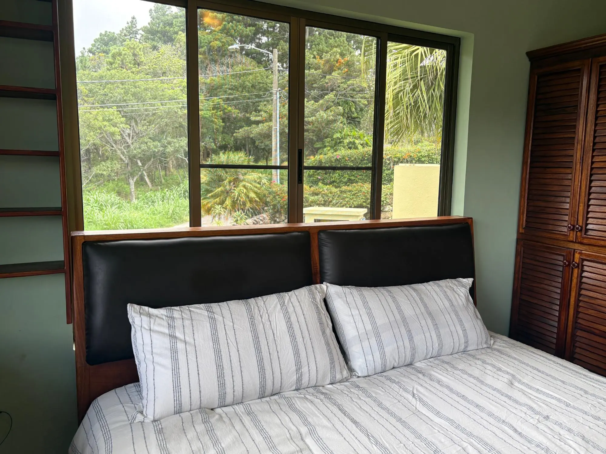 Volcancito Boquete Chiriqui Panama - Photo 79